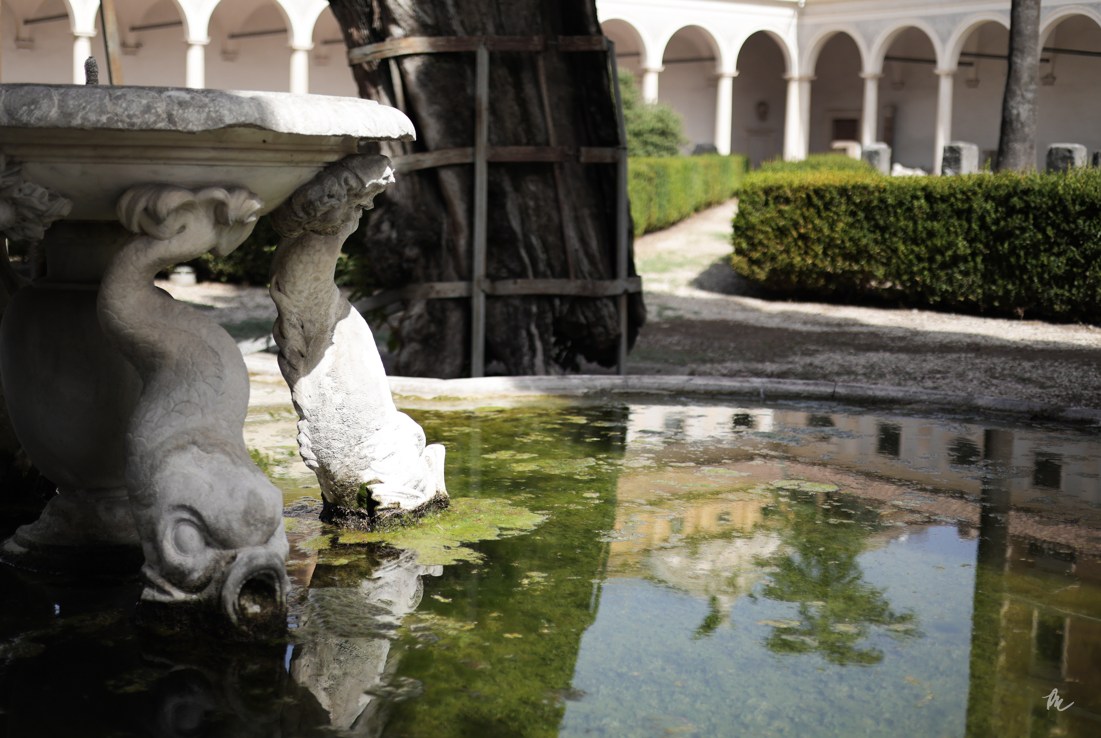 Roman National Museum courtyard water fountain