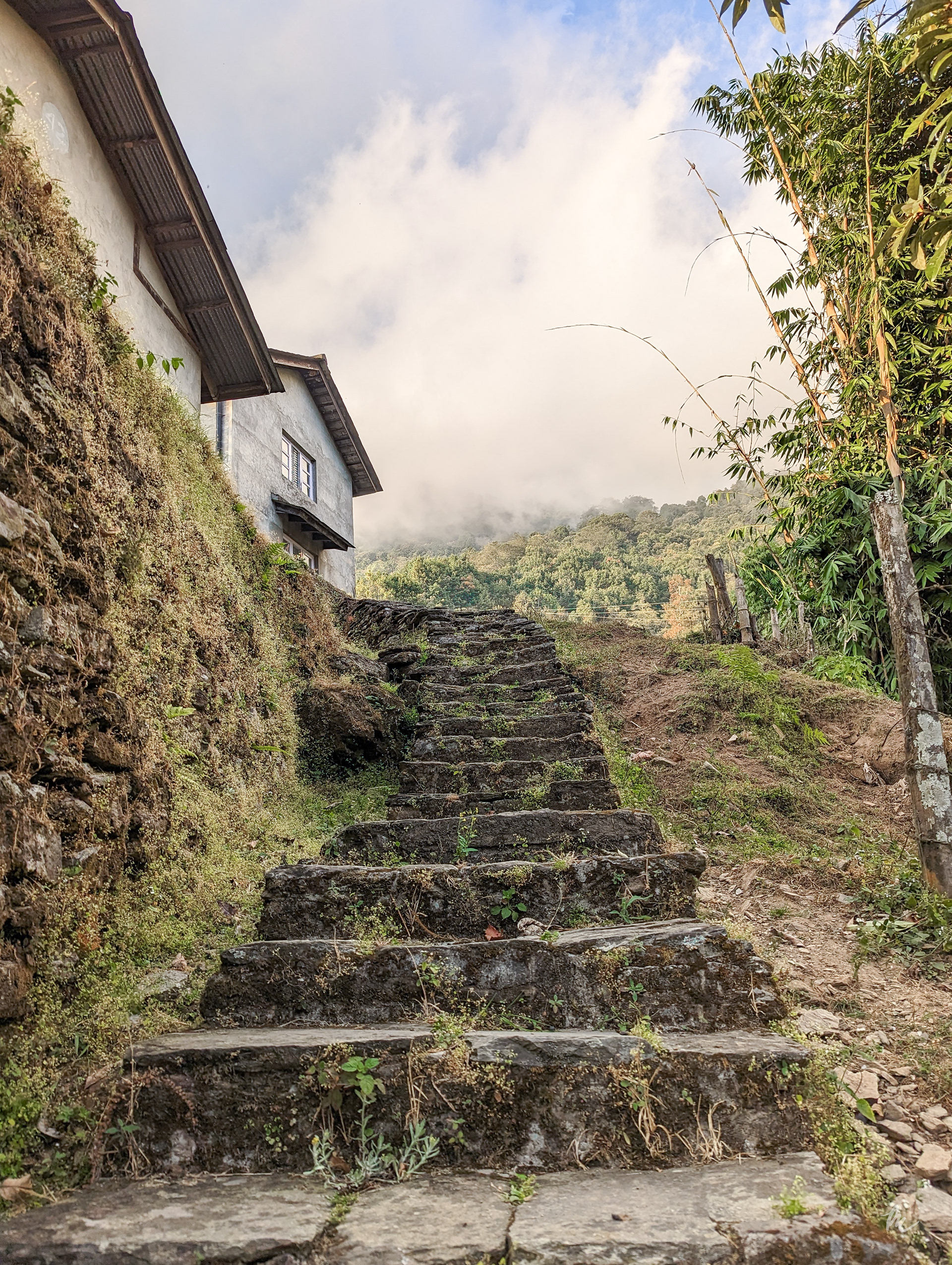 Directorate of Agricultural Research, Pokhara, Lumle, Nepal | 2023