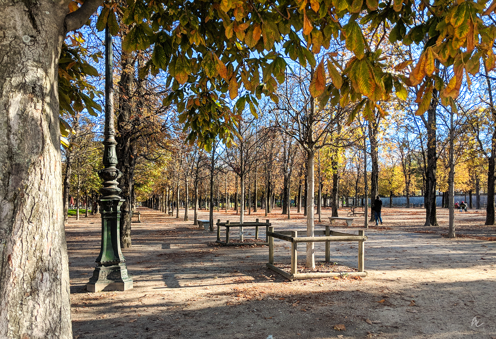 Musée de l'Orangerie, Paris | 2018