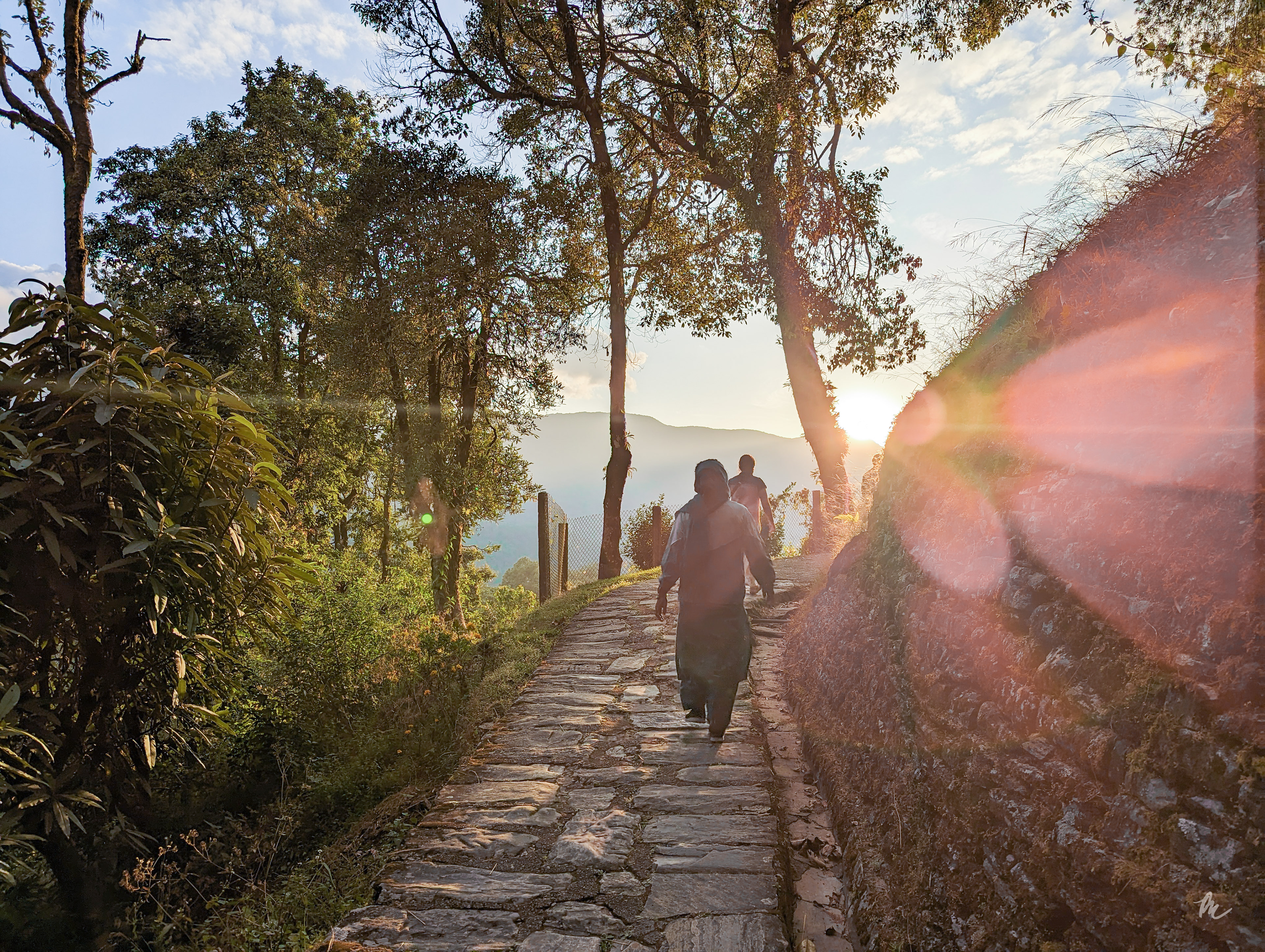 Directorate of Agricultural Research, Pokhara, Lumle, Nepal | 2023