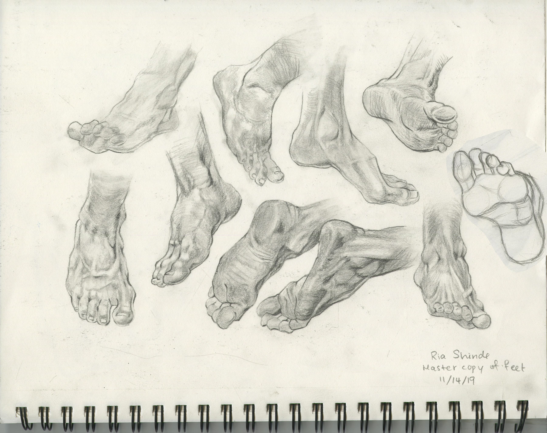 Foot study - Master Copy