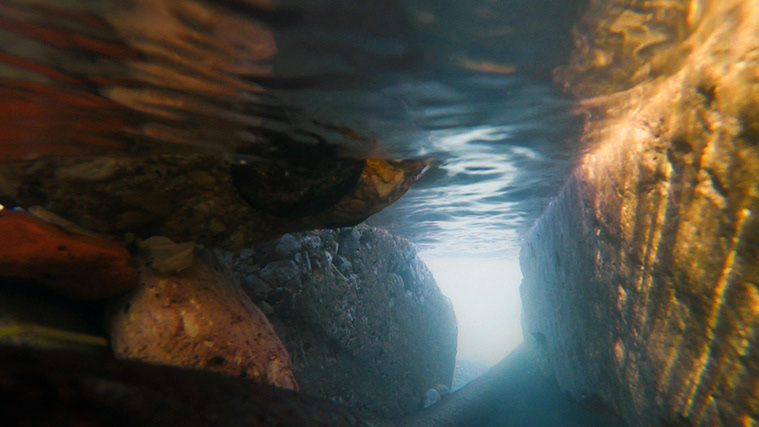 No. 47, from The Lake Series