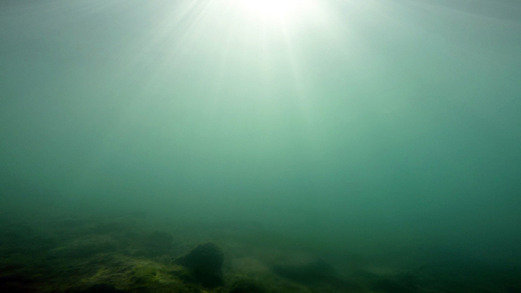 No. 15, from The Lake Series