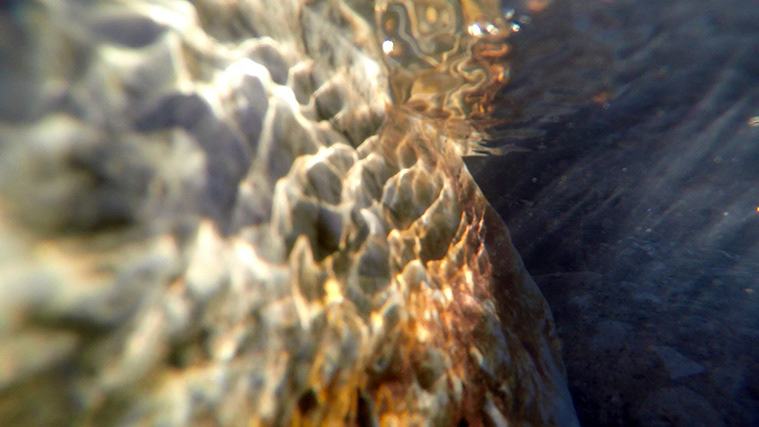 No. 8, from The Lake Series