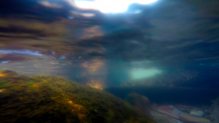 No. 12, from The Lake Series