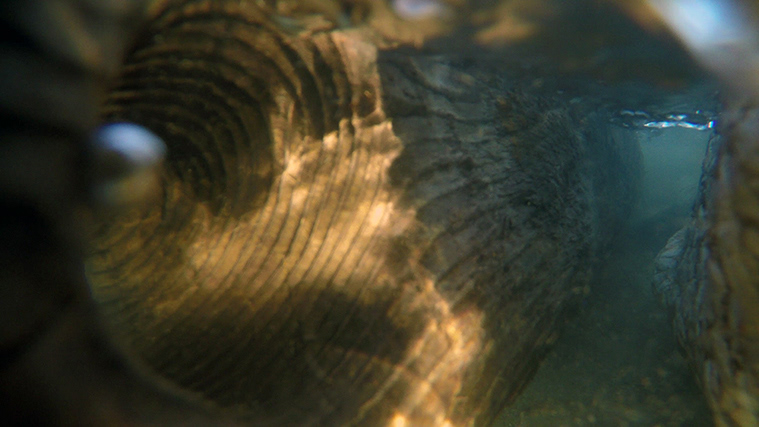 No. 85, from The Lake Series