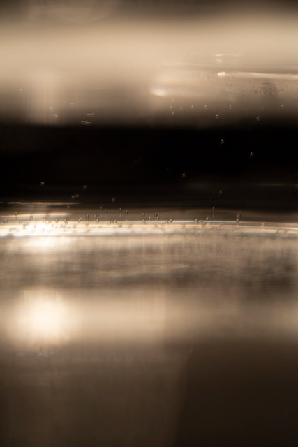 No. 782, from Into the Realms, 2019