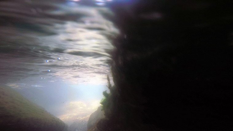 No. 88, from The Lake Series