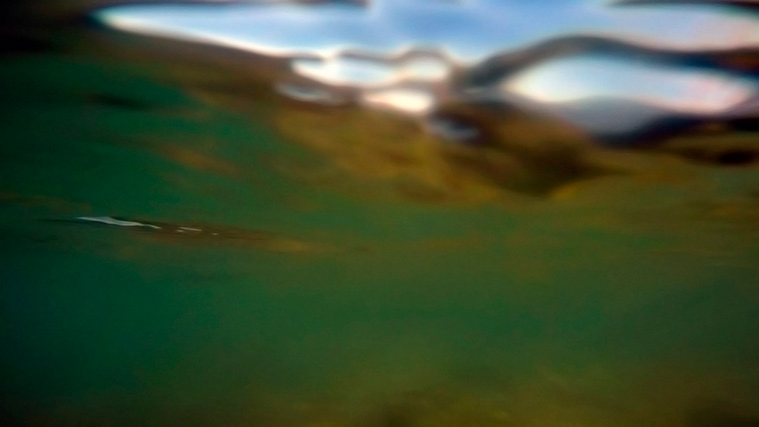 No. 22, from The Lake Series