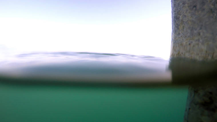 No. 29, from The Lake Series