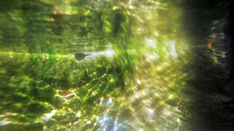 No. 30, from The Lake Series