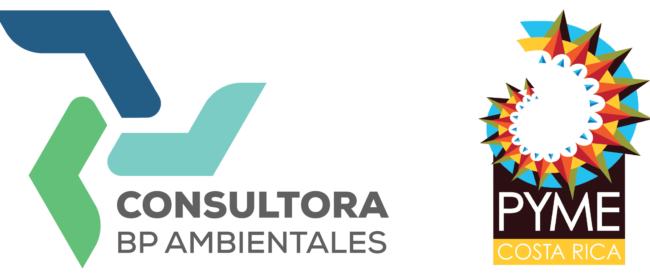 Consultora BP Ambientales