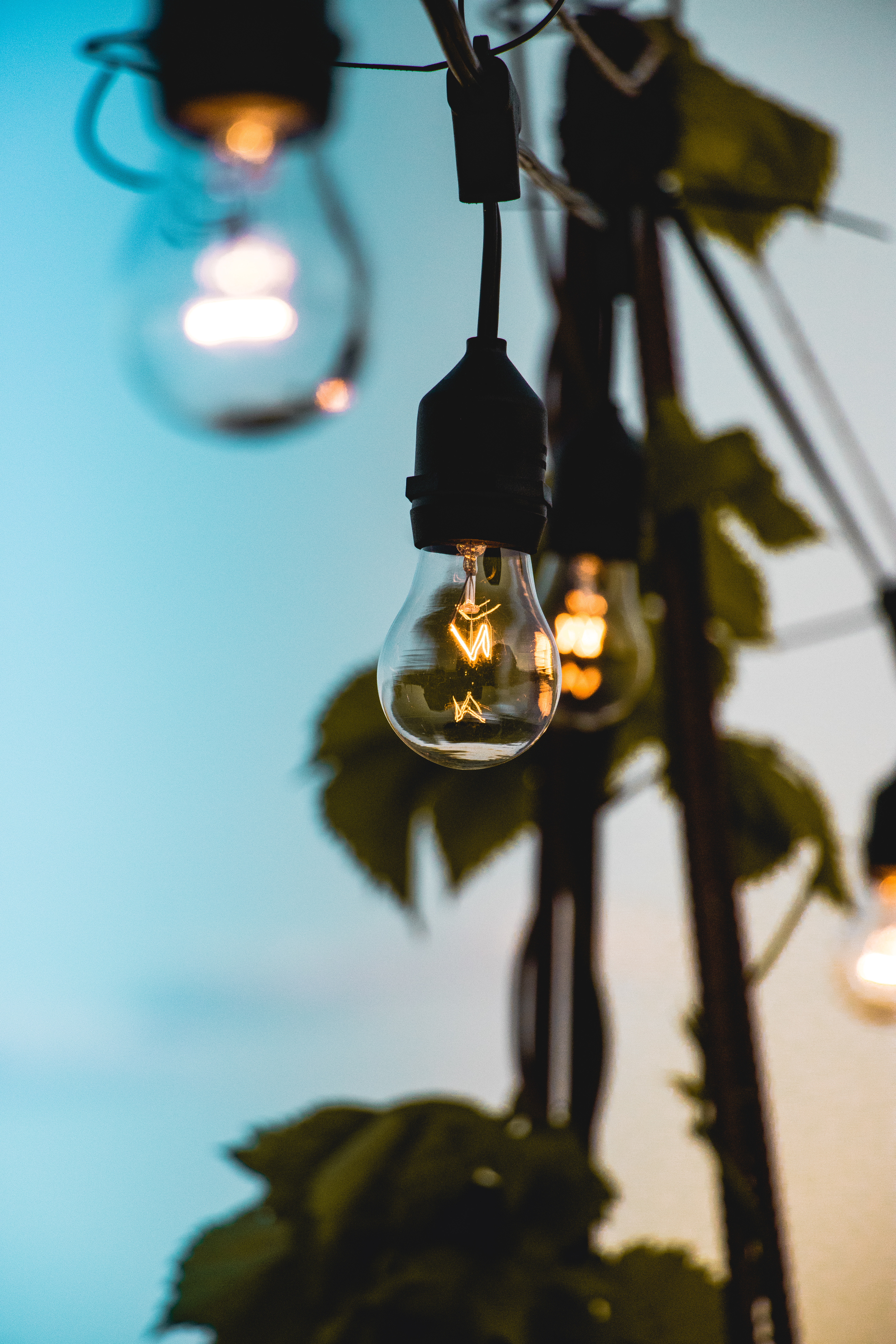 Edison Aesthetic