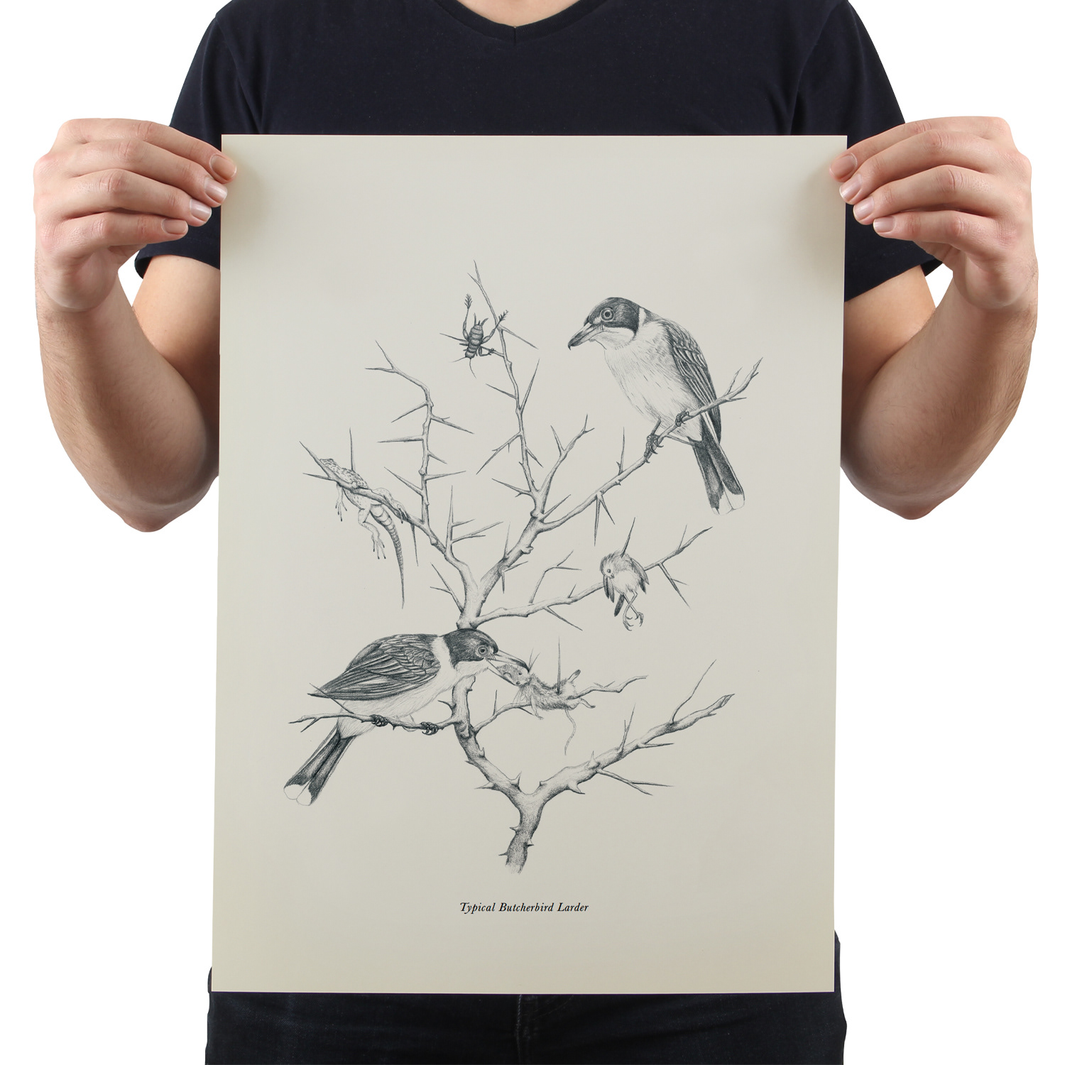 Pencil drawing on paper for The Girl At the Window