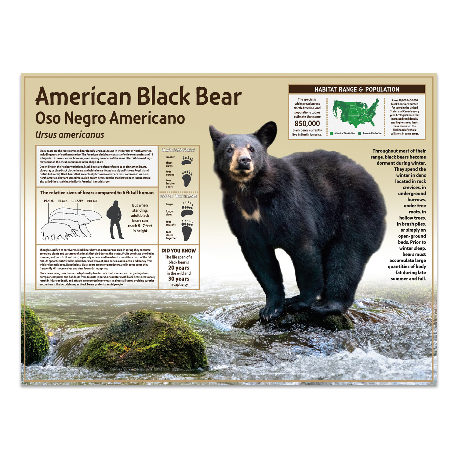 Bear enclosure sign design
