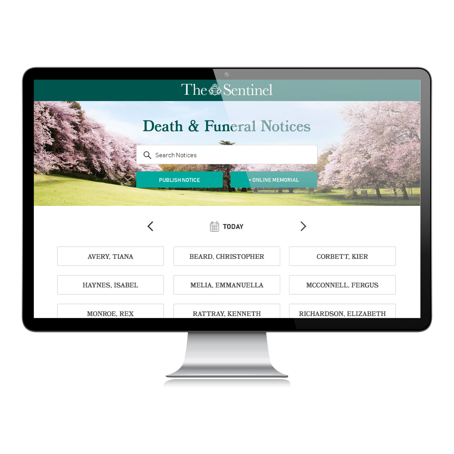 Scrollable news webpage (Crazy Fun Park)