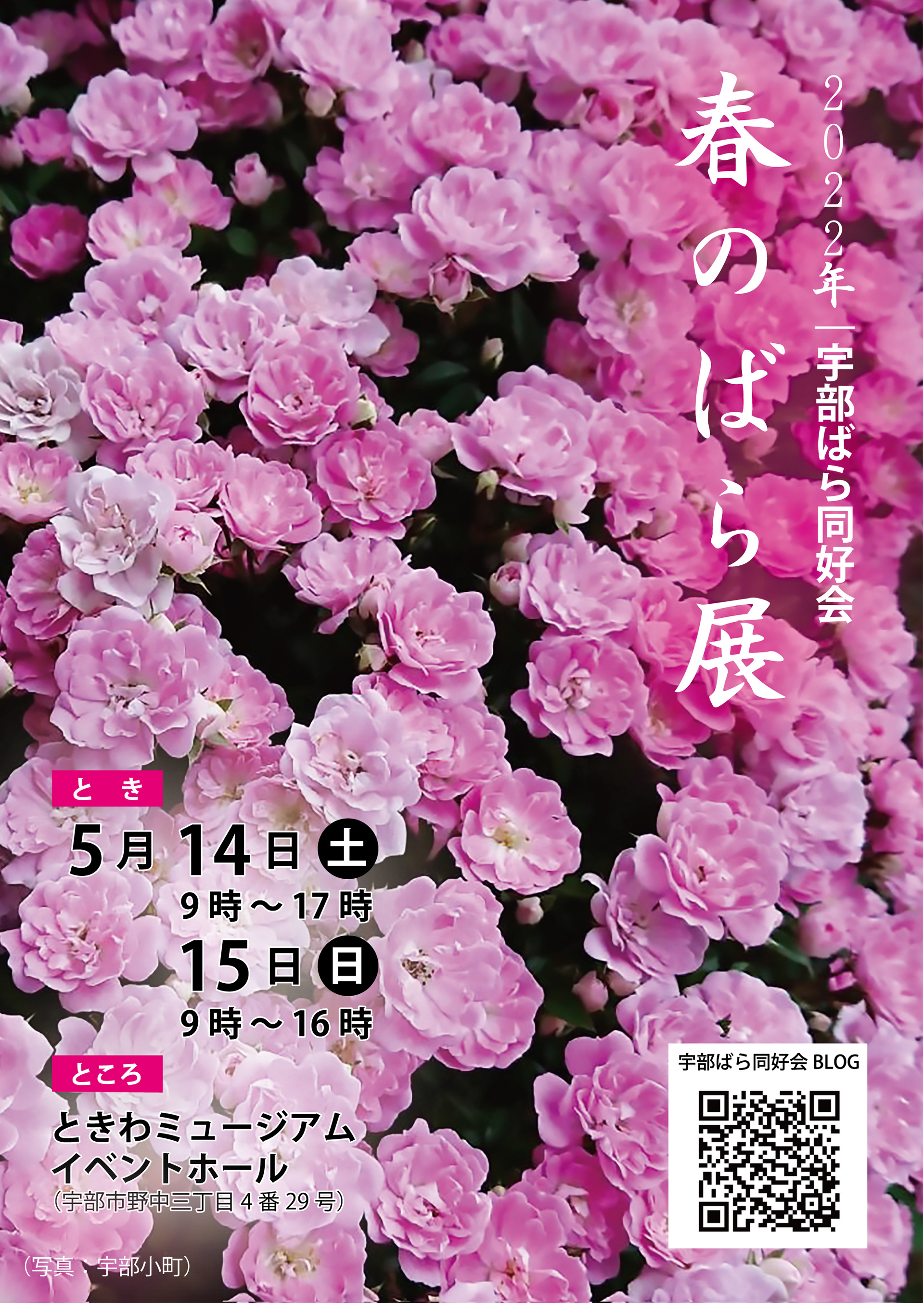 春のばら展