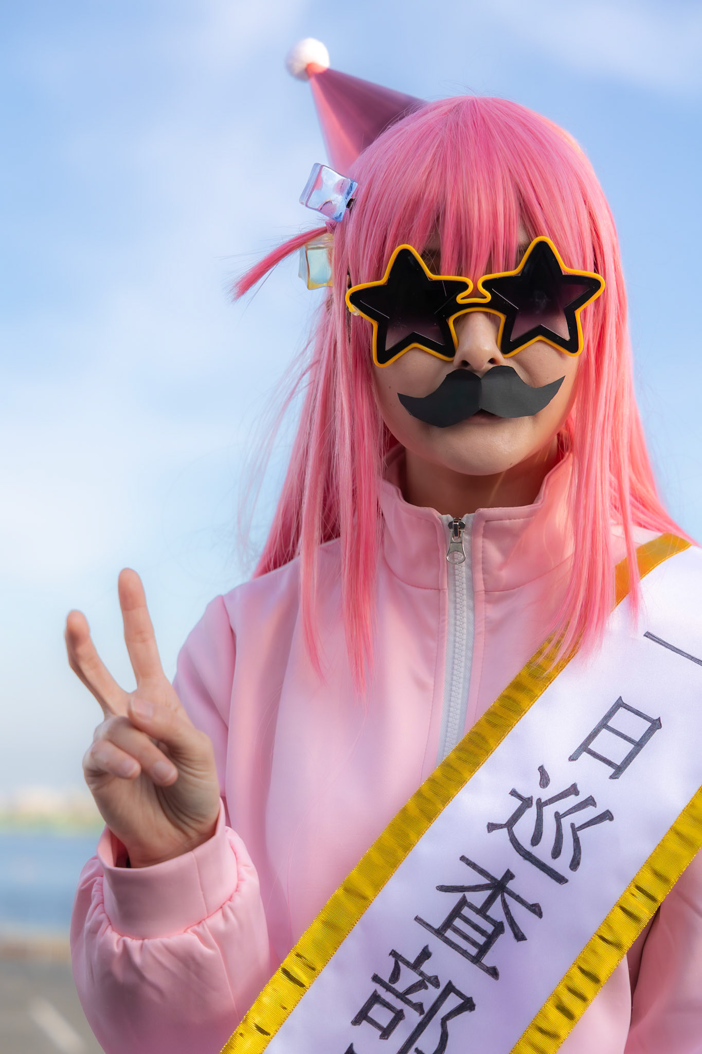 後藤ひとり(ぼっち・ざ・ろっく!)/とめとさん