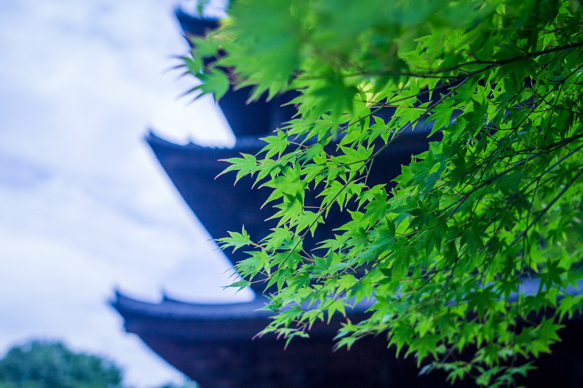 東寺
