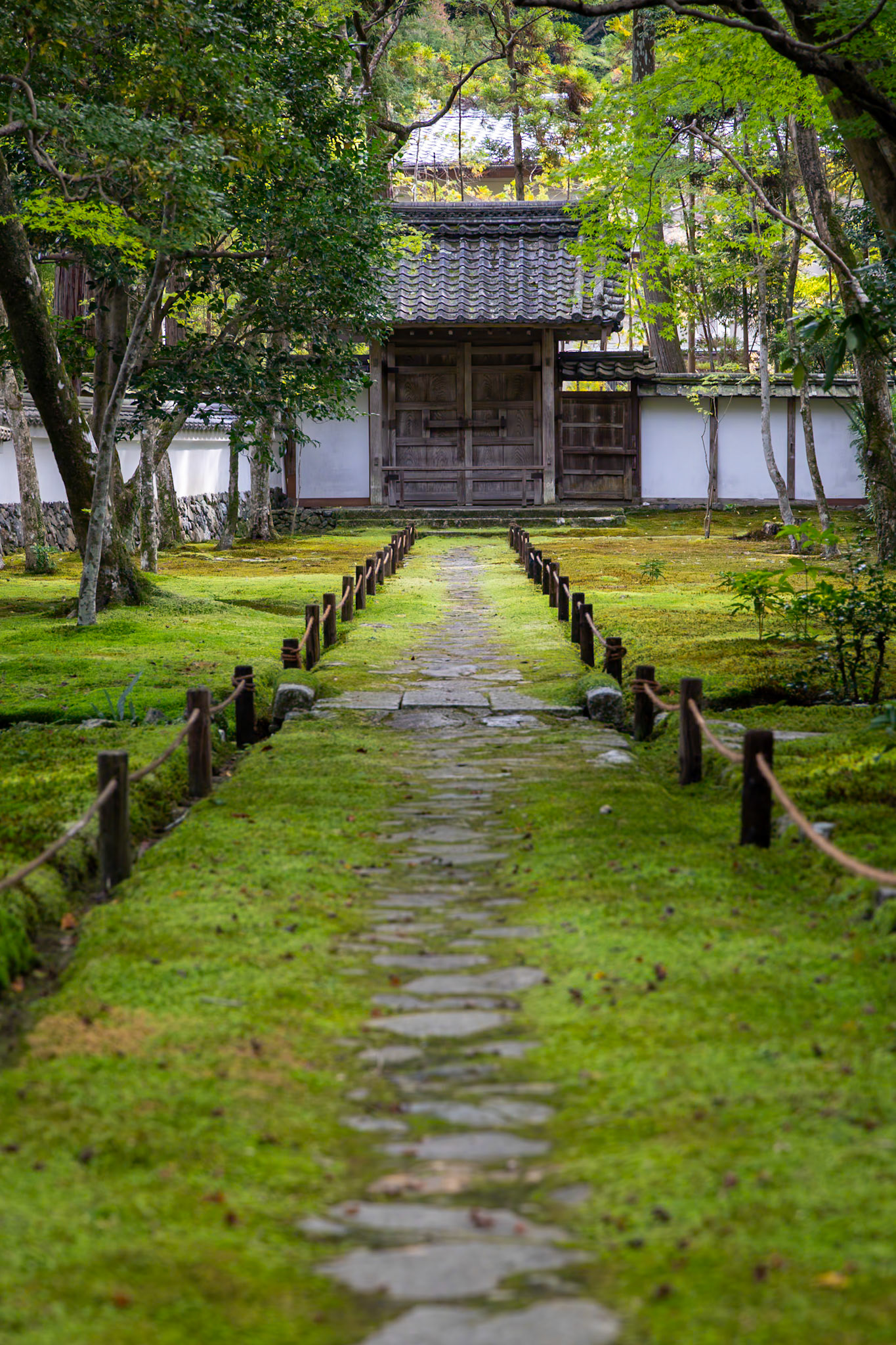 西芳寺（苔寺）