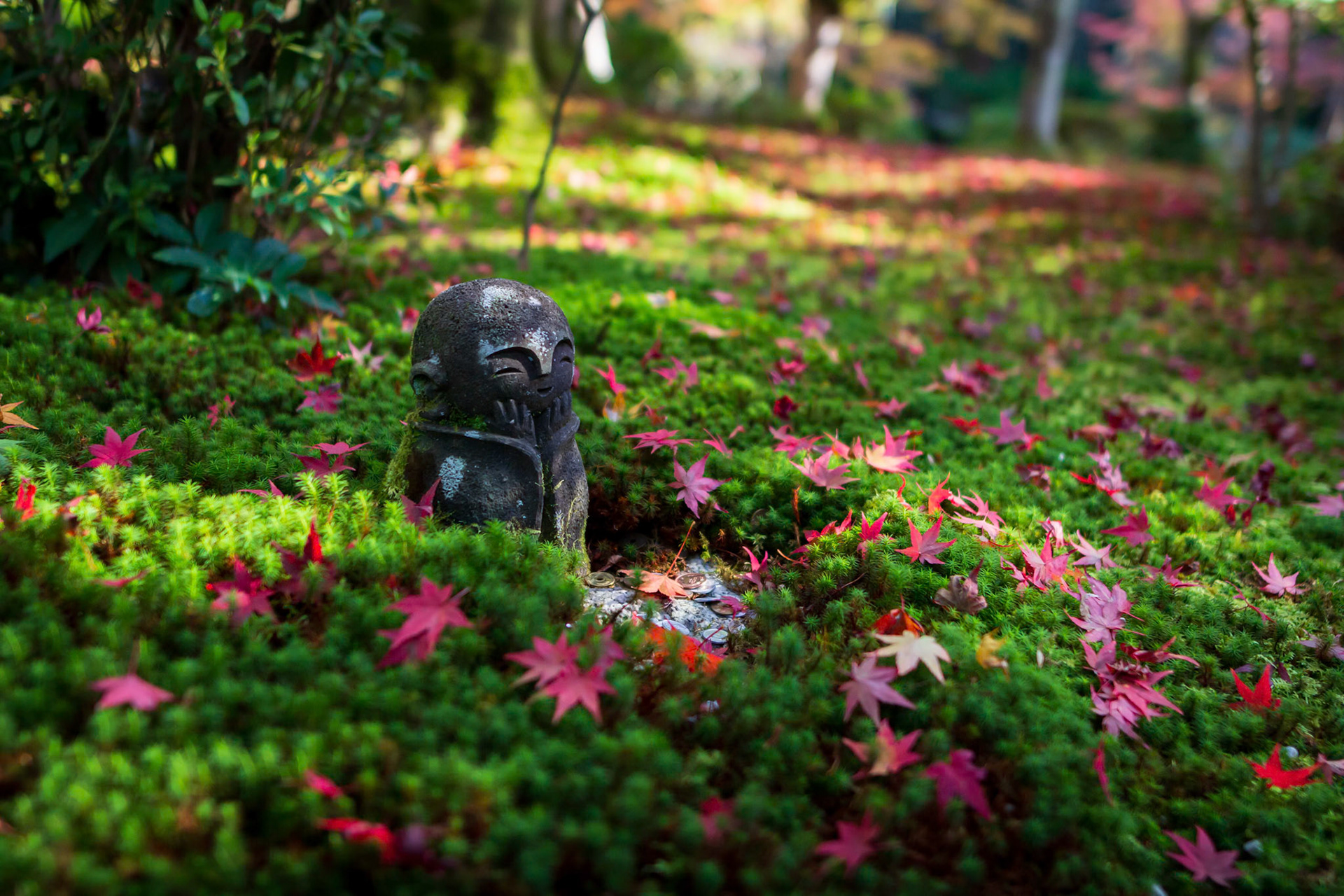 圓光寺