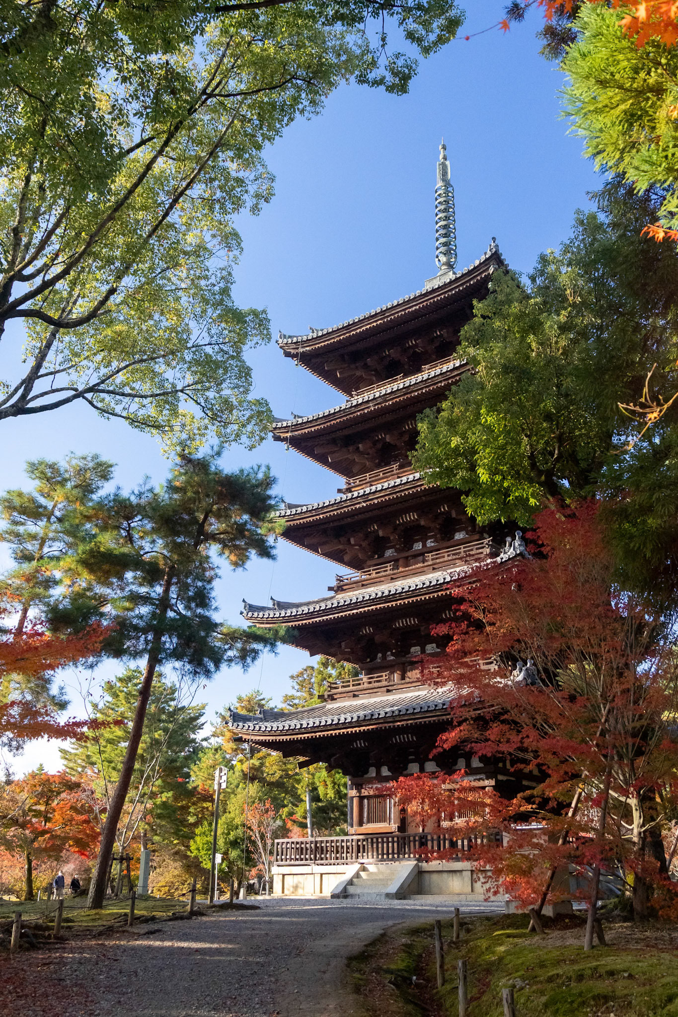 仁和寺・五重塔