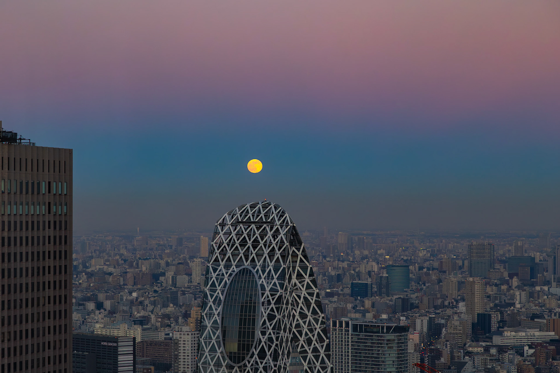 東京都庁より(東京都・新宿区)