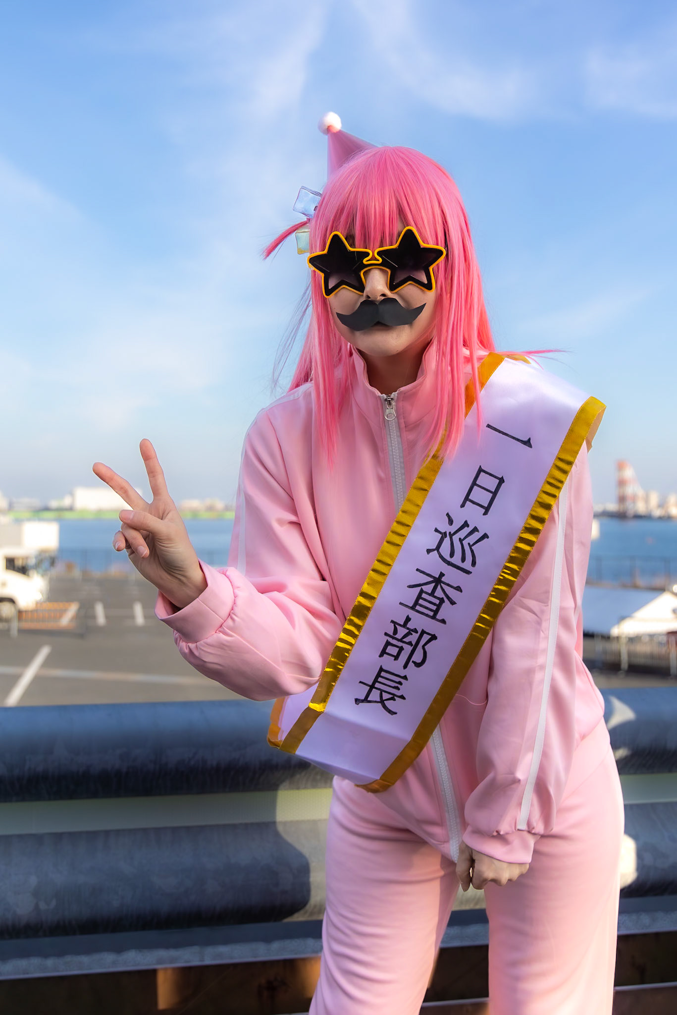 後藤ひとり(ぼっち・ざ・ろっく!)/とめとさん