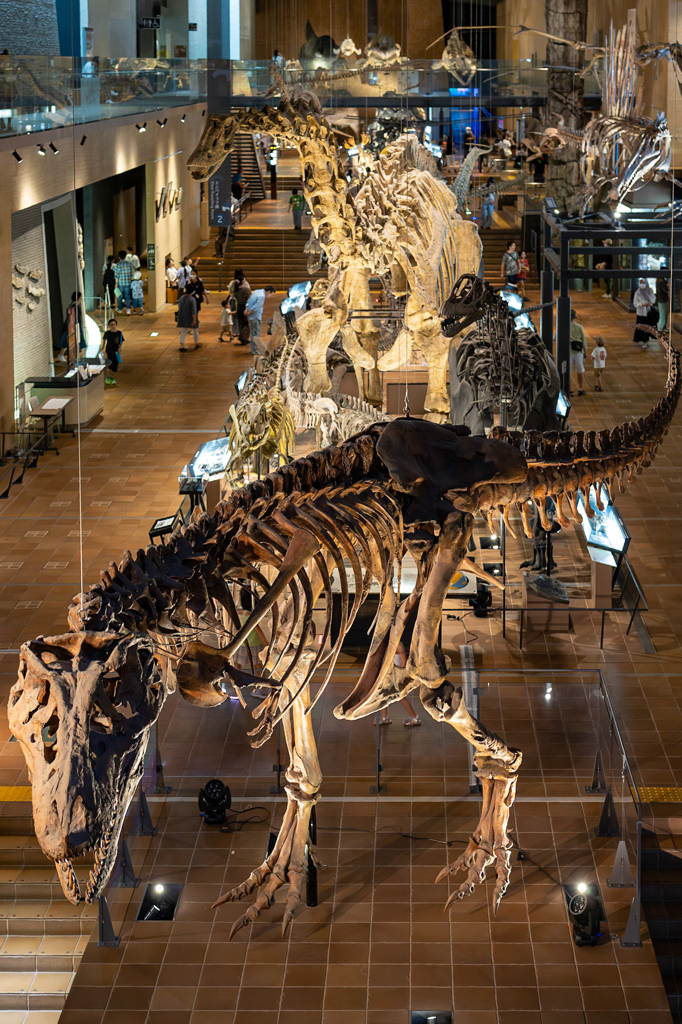 北九州市立自然史・歴史博物館／いのちのたび博物館