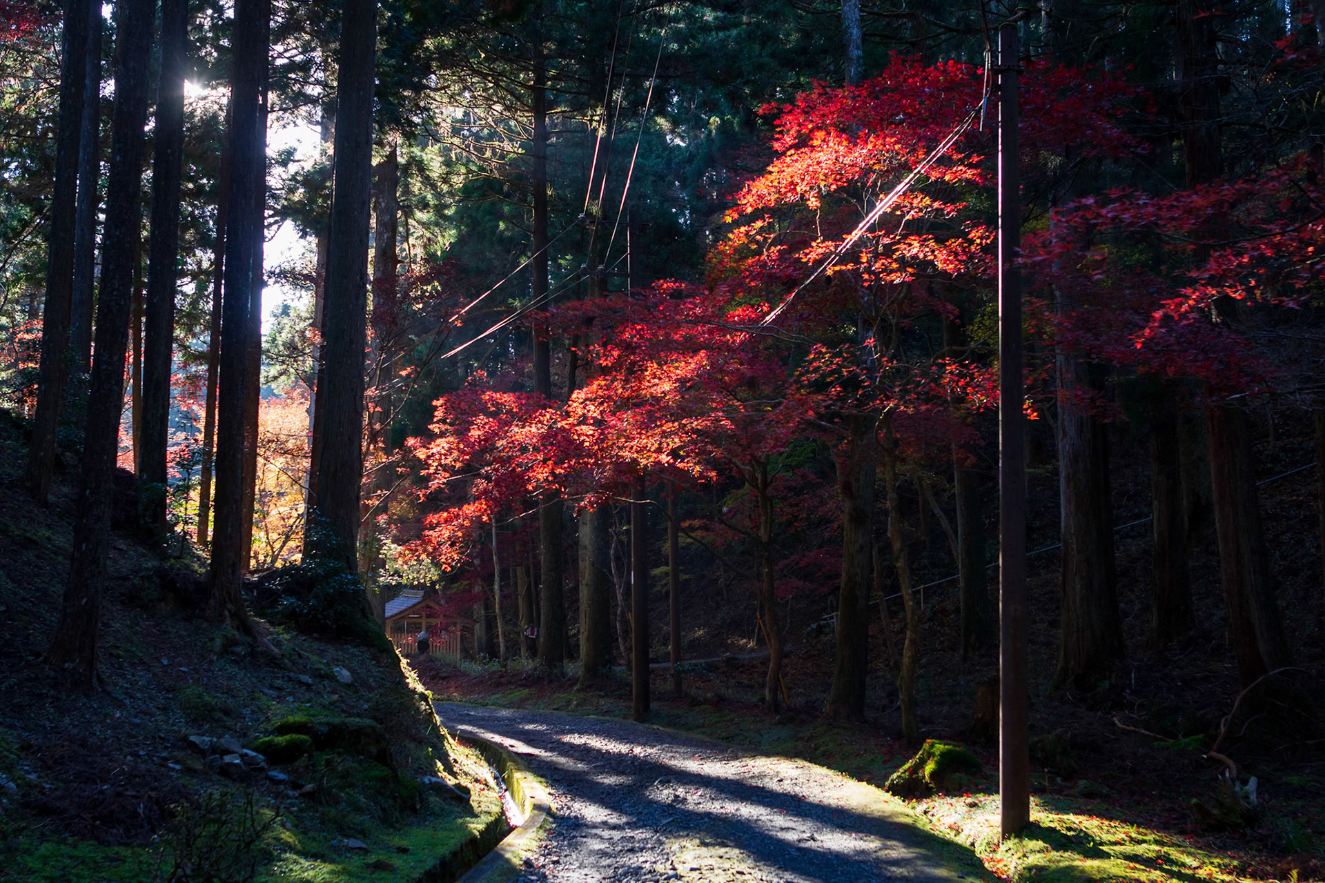 比叡山