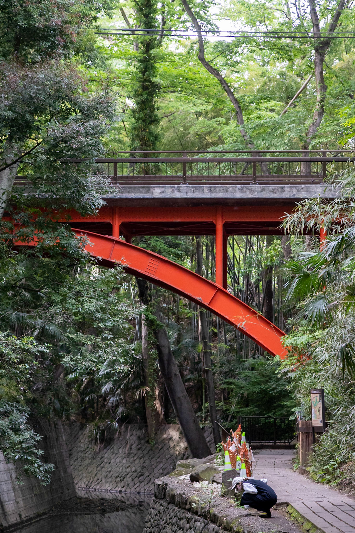 等々力渓谷(東京都・世田谷区)