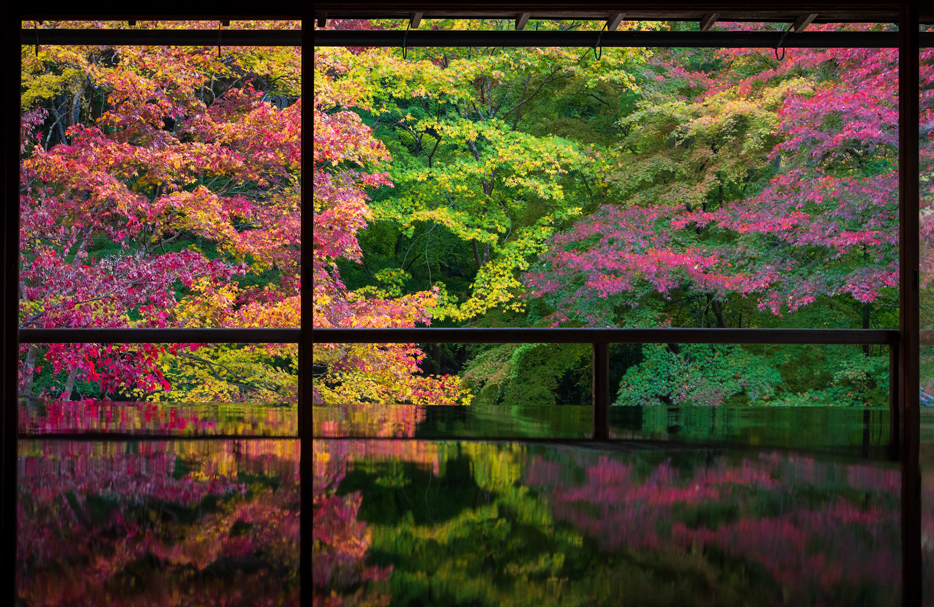 瑠璃光院