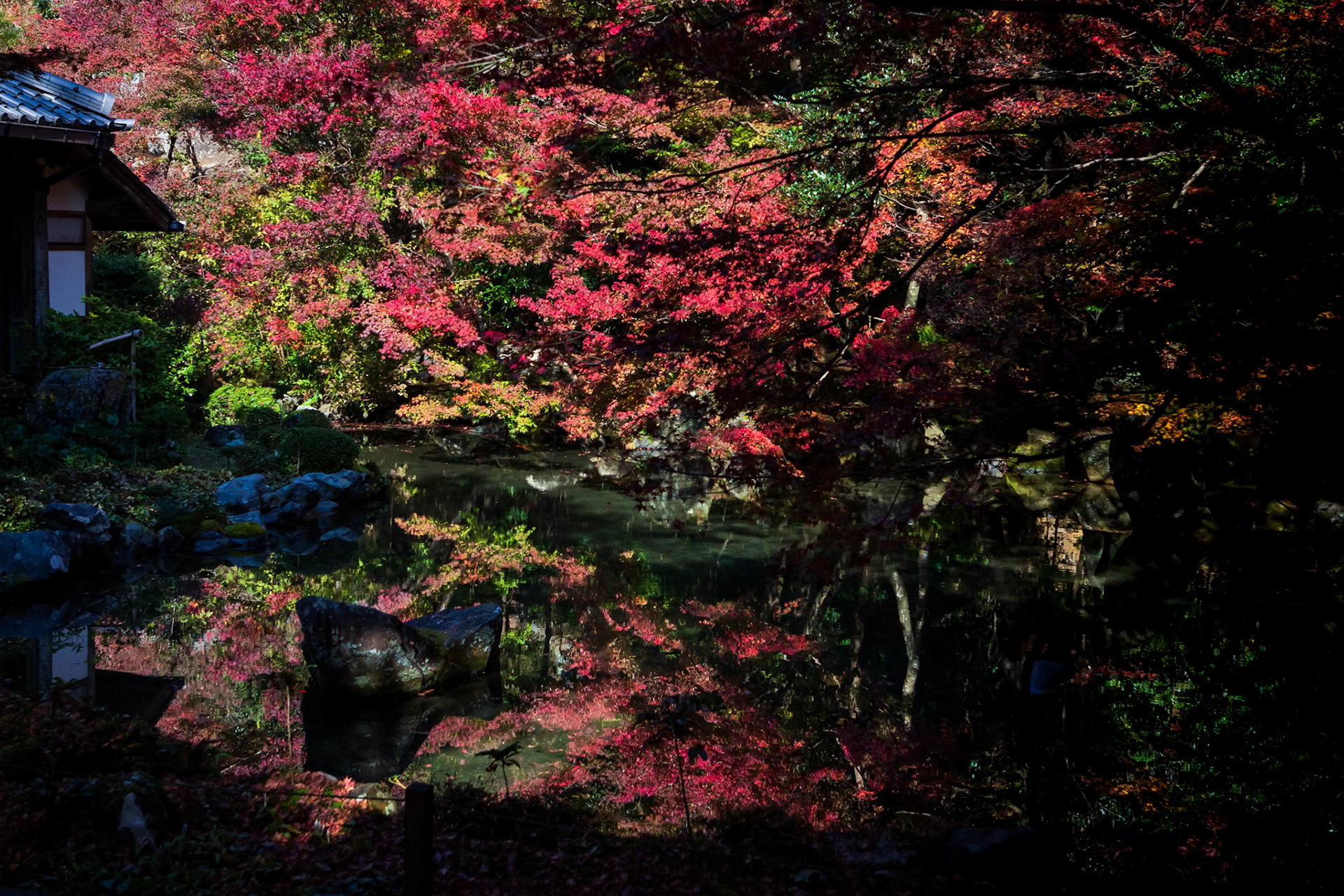 蓮華寺