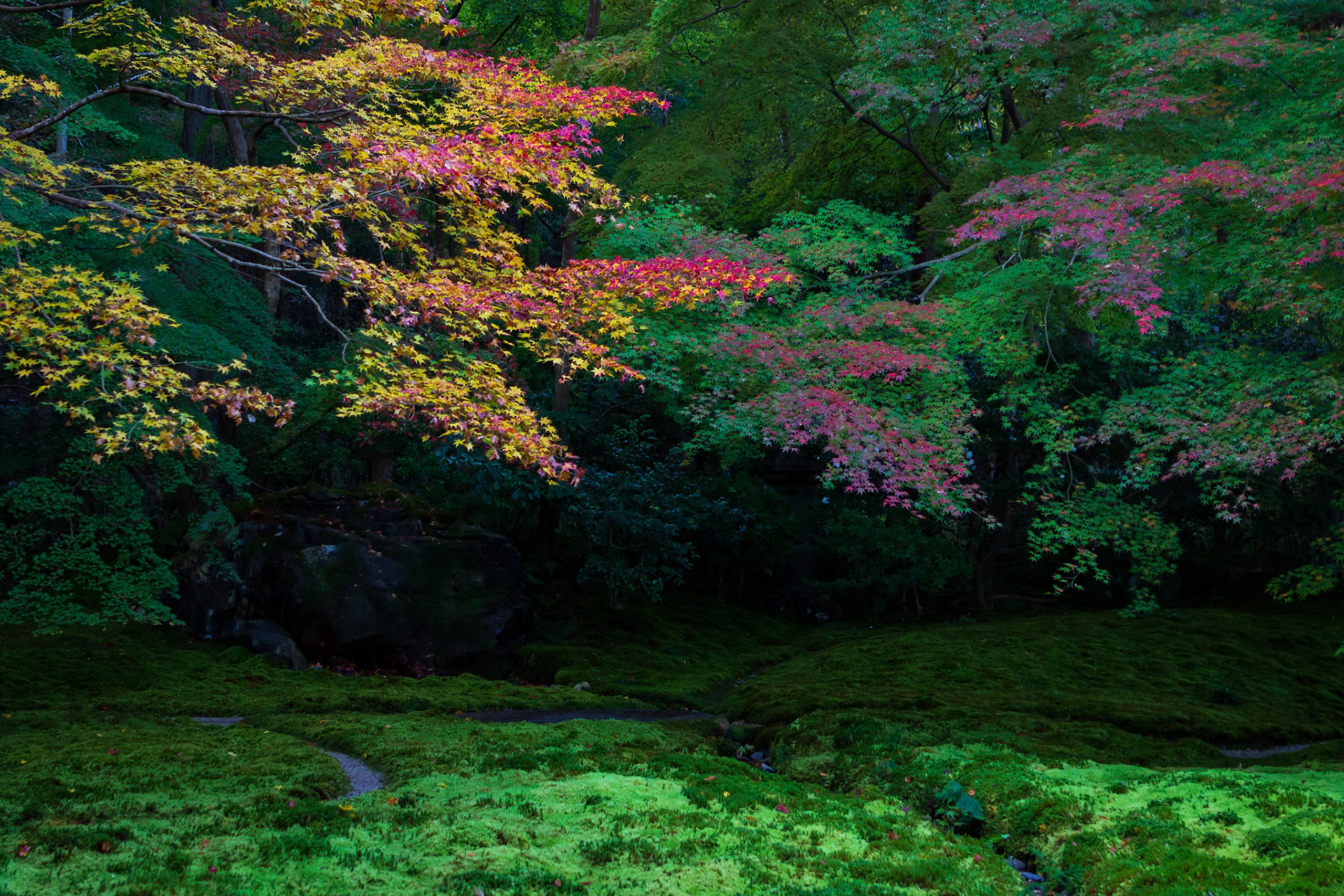 瑠璃光院
