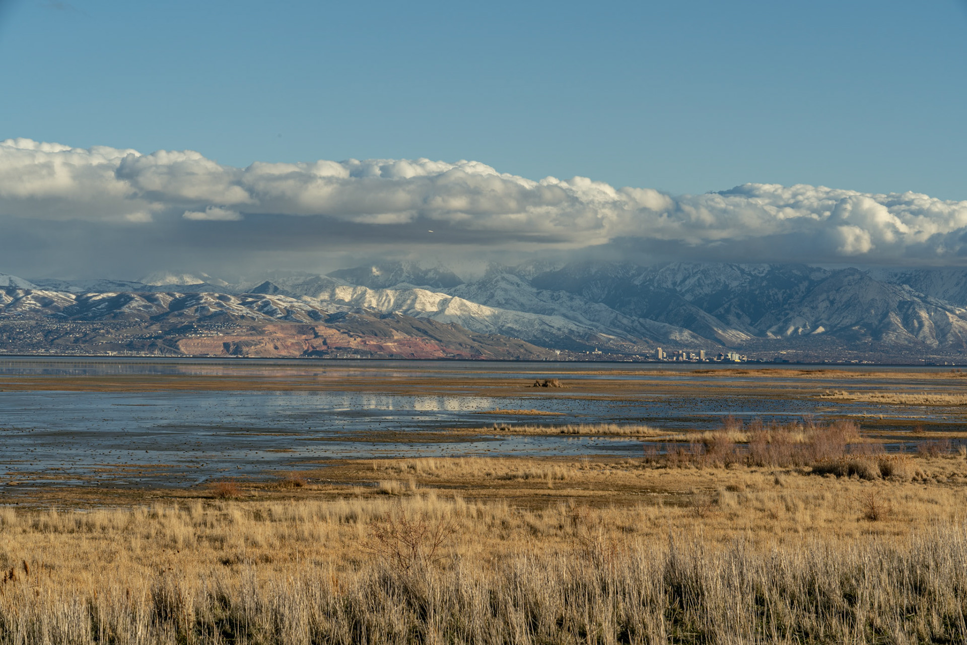 Salt Lake City Winter 2021-2022| Chapter II