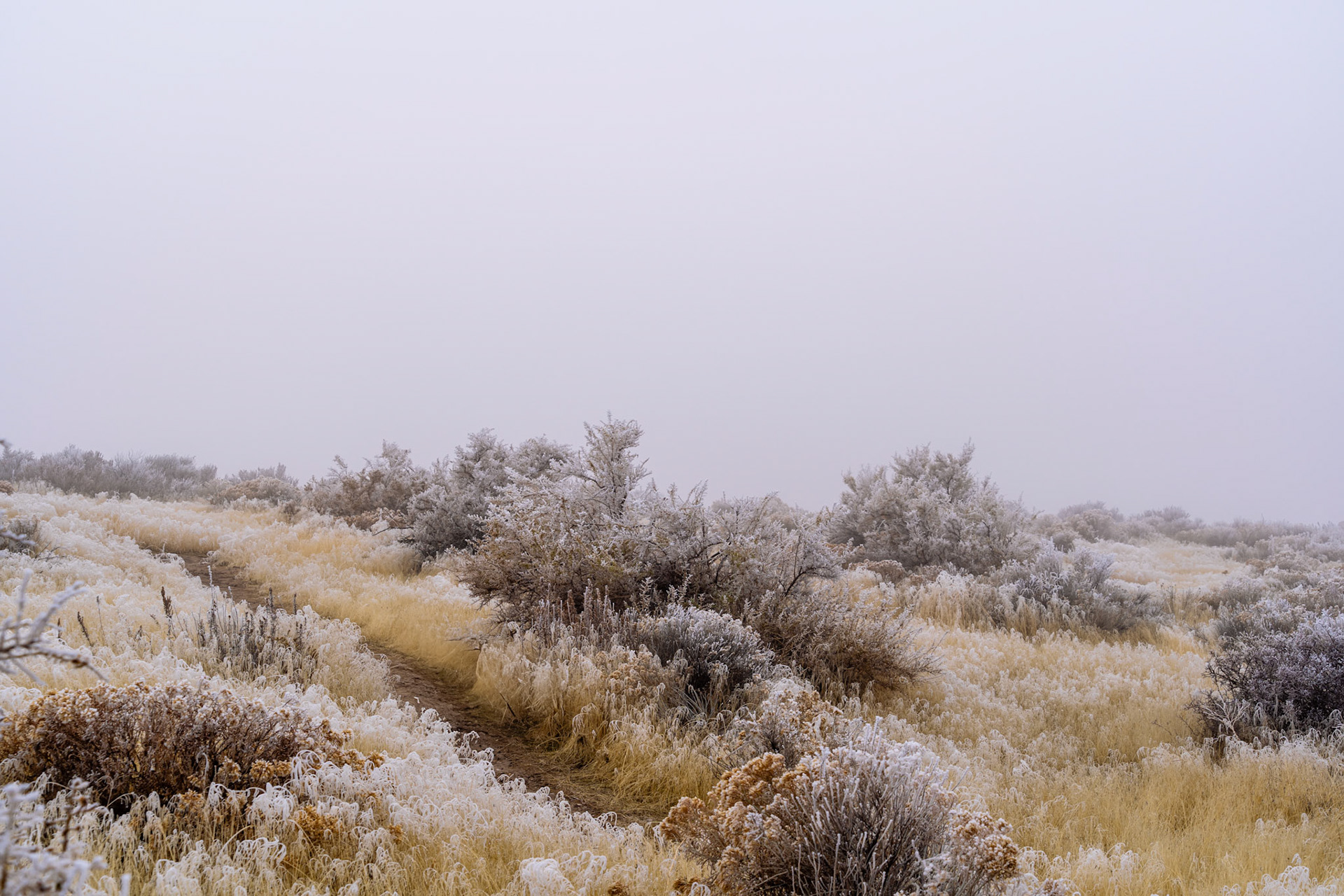 Winter 2024-2025 | Chapter X