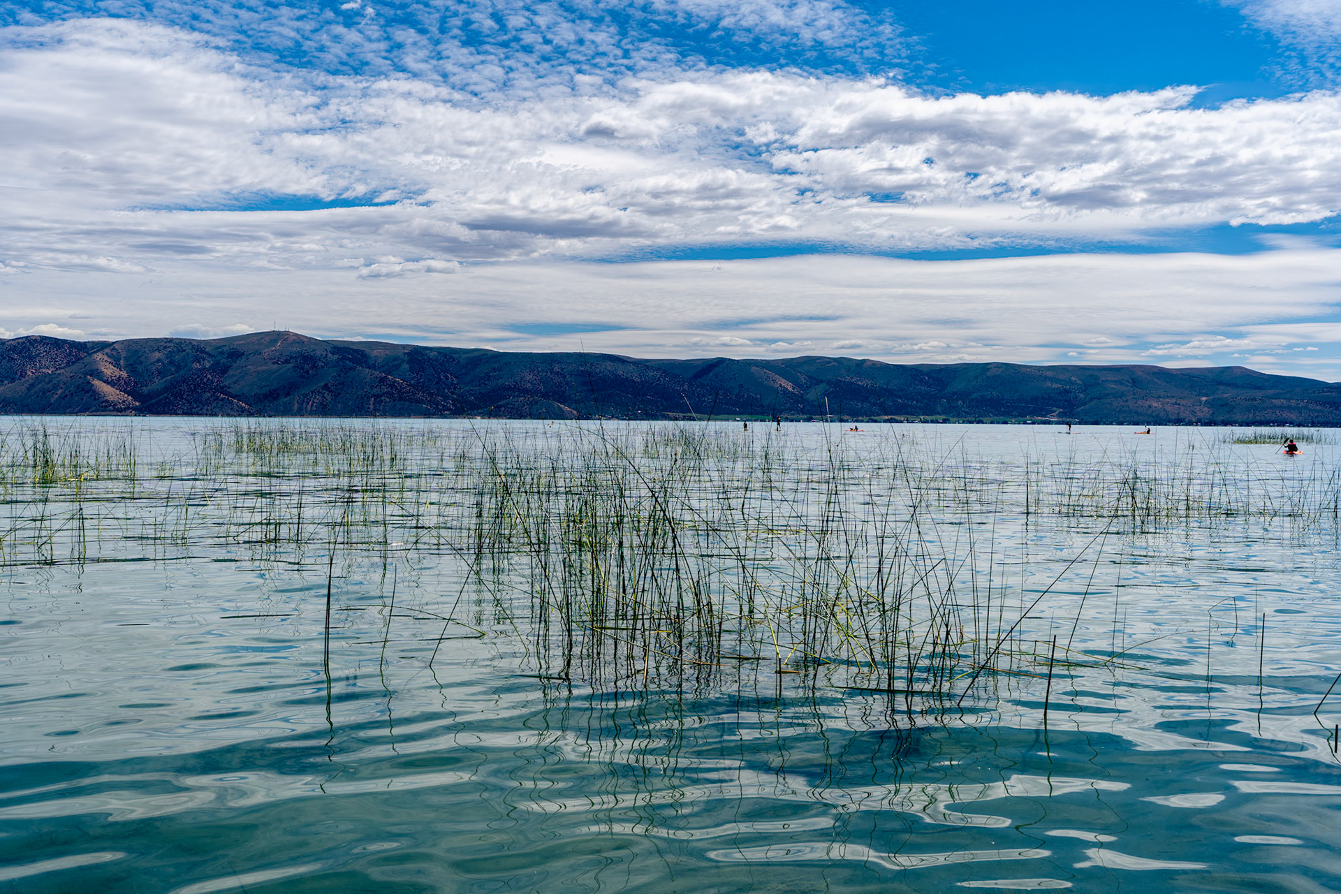 The grass an the Water Summer 2025 | Chapter V