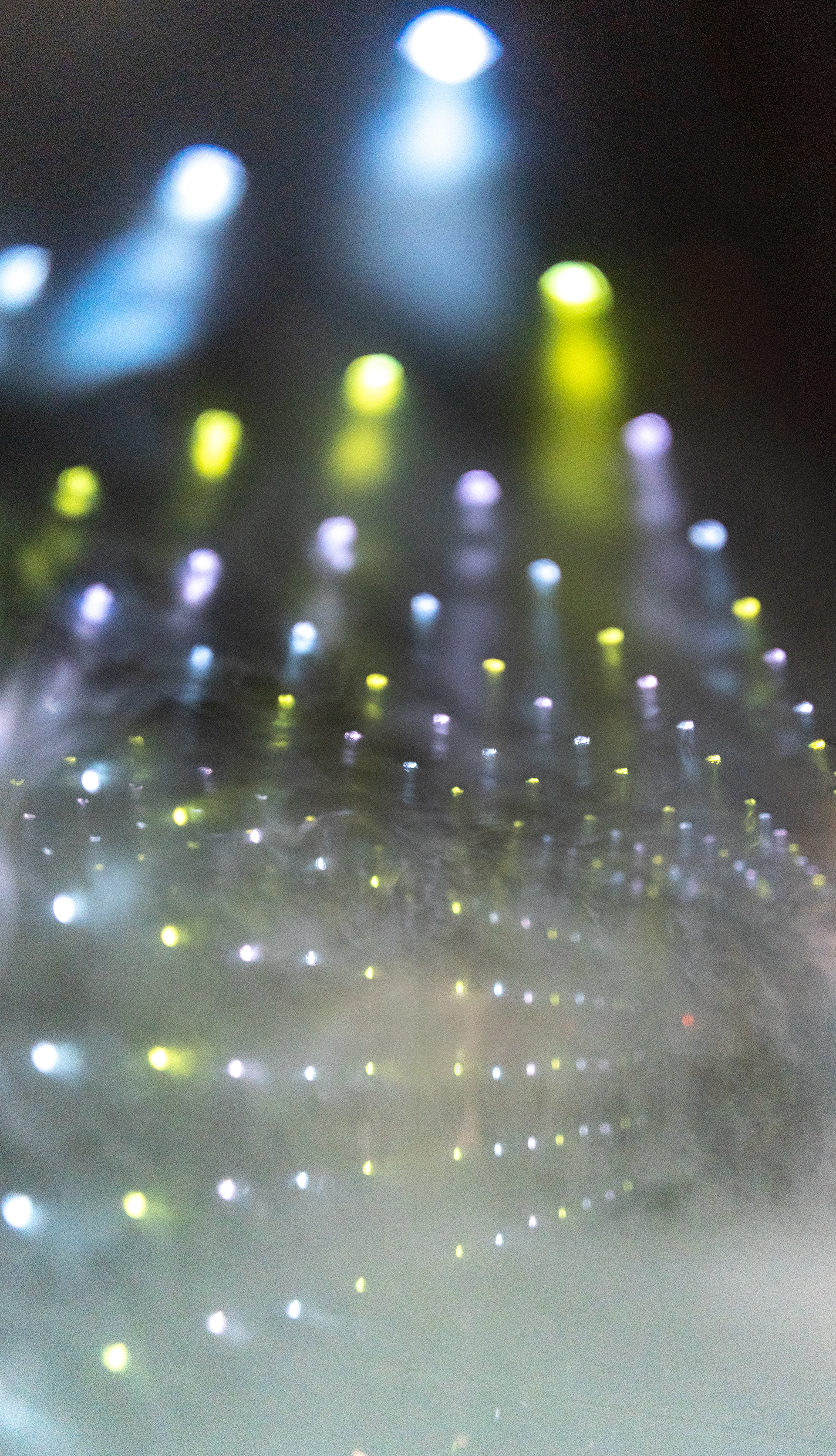 Sculpting with light