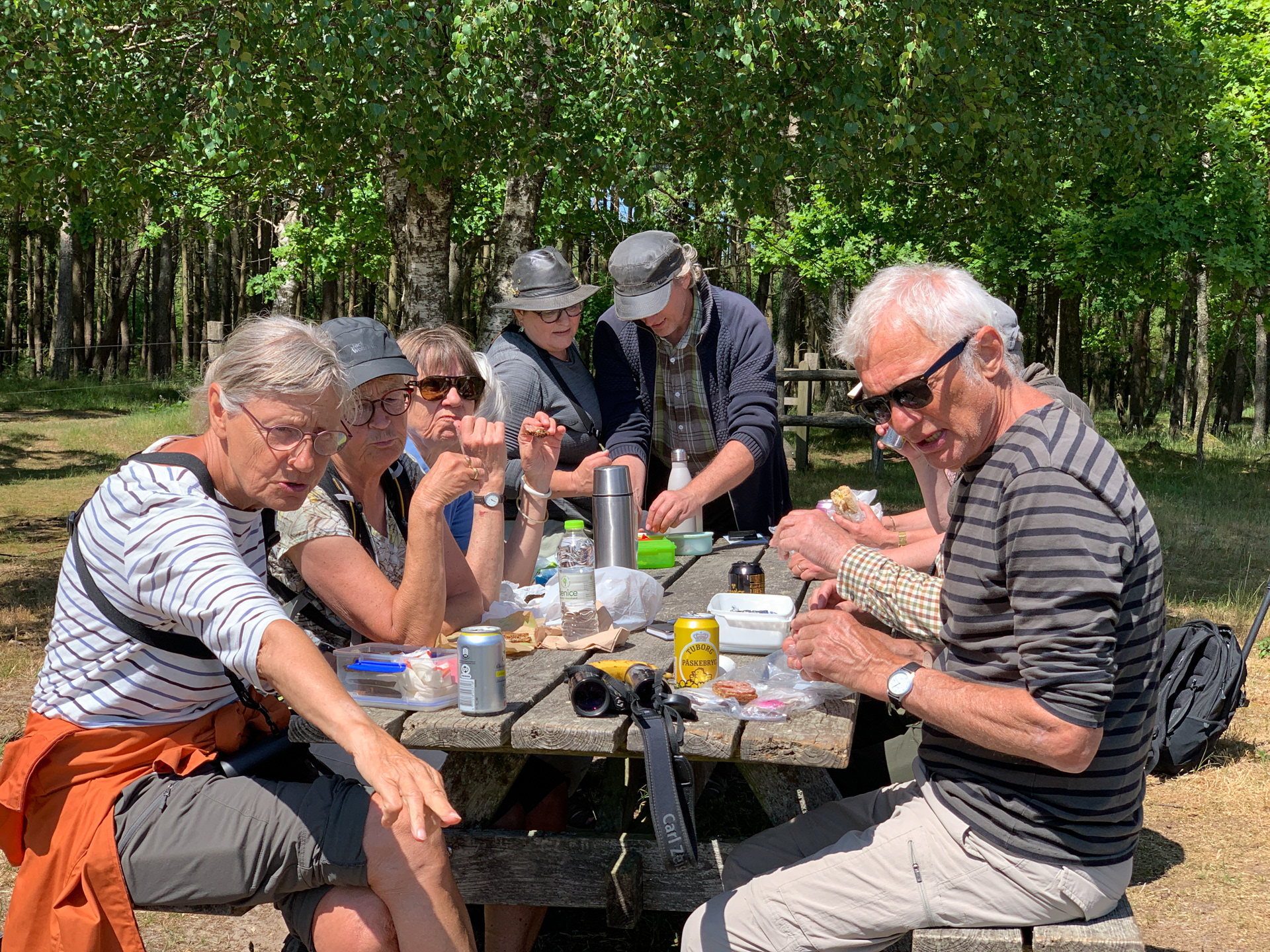 Frokost ved Stubbe Sø