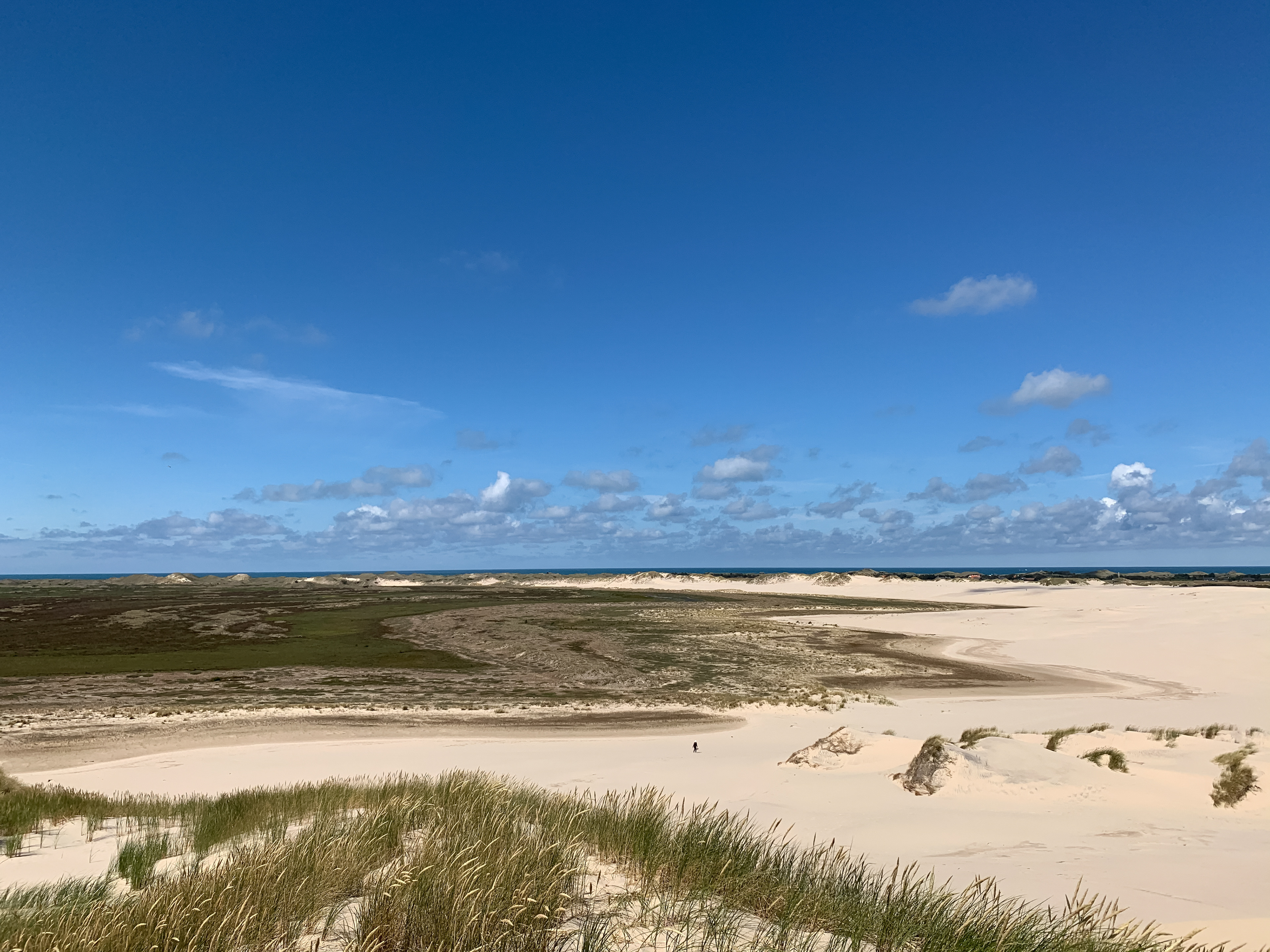 Raabjerg Mile -  kik mod vest. Milens nordre ben