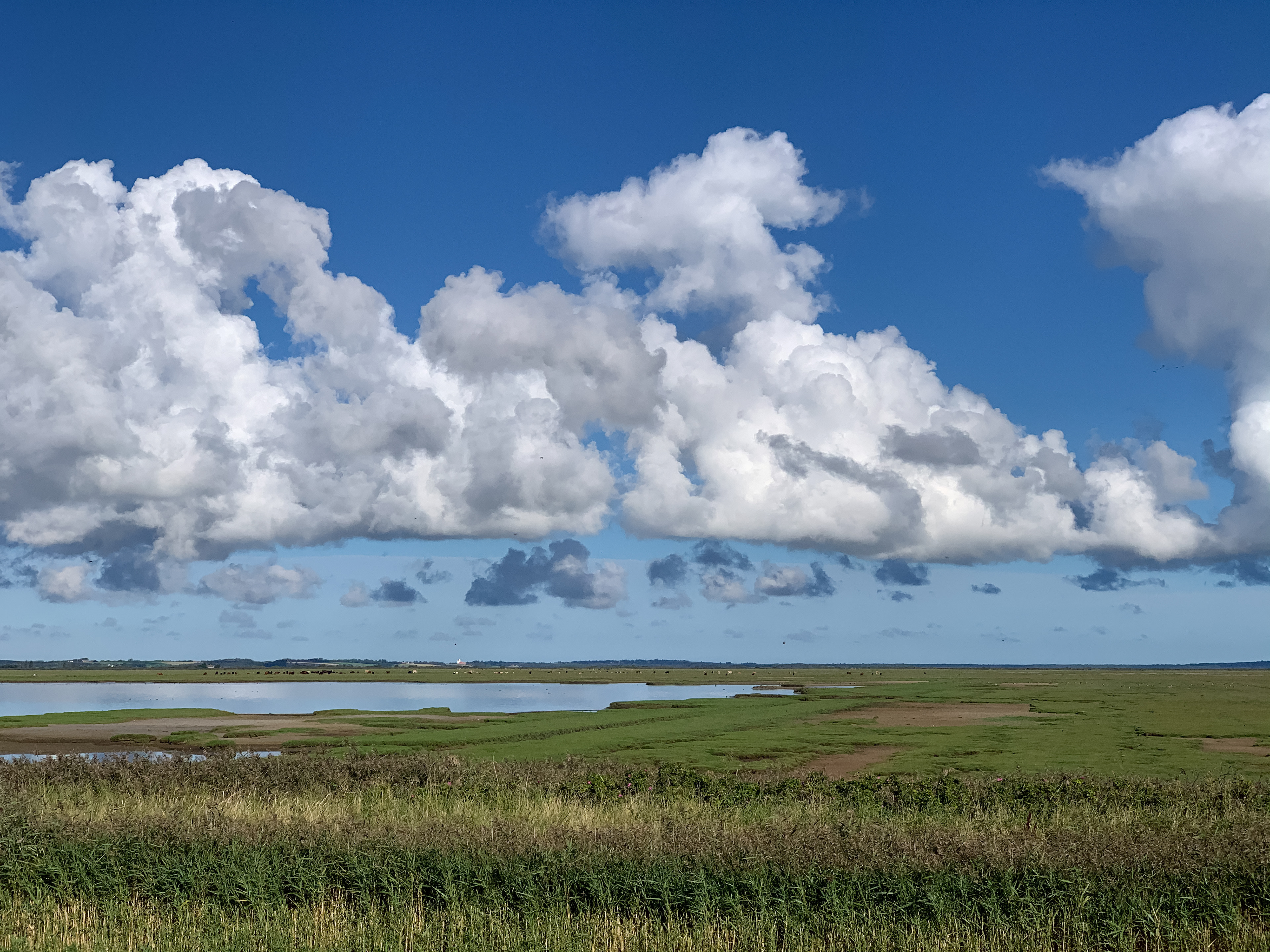 Sensommerhimmel over Vejlerne