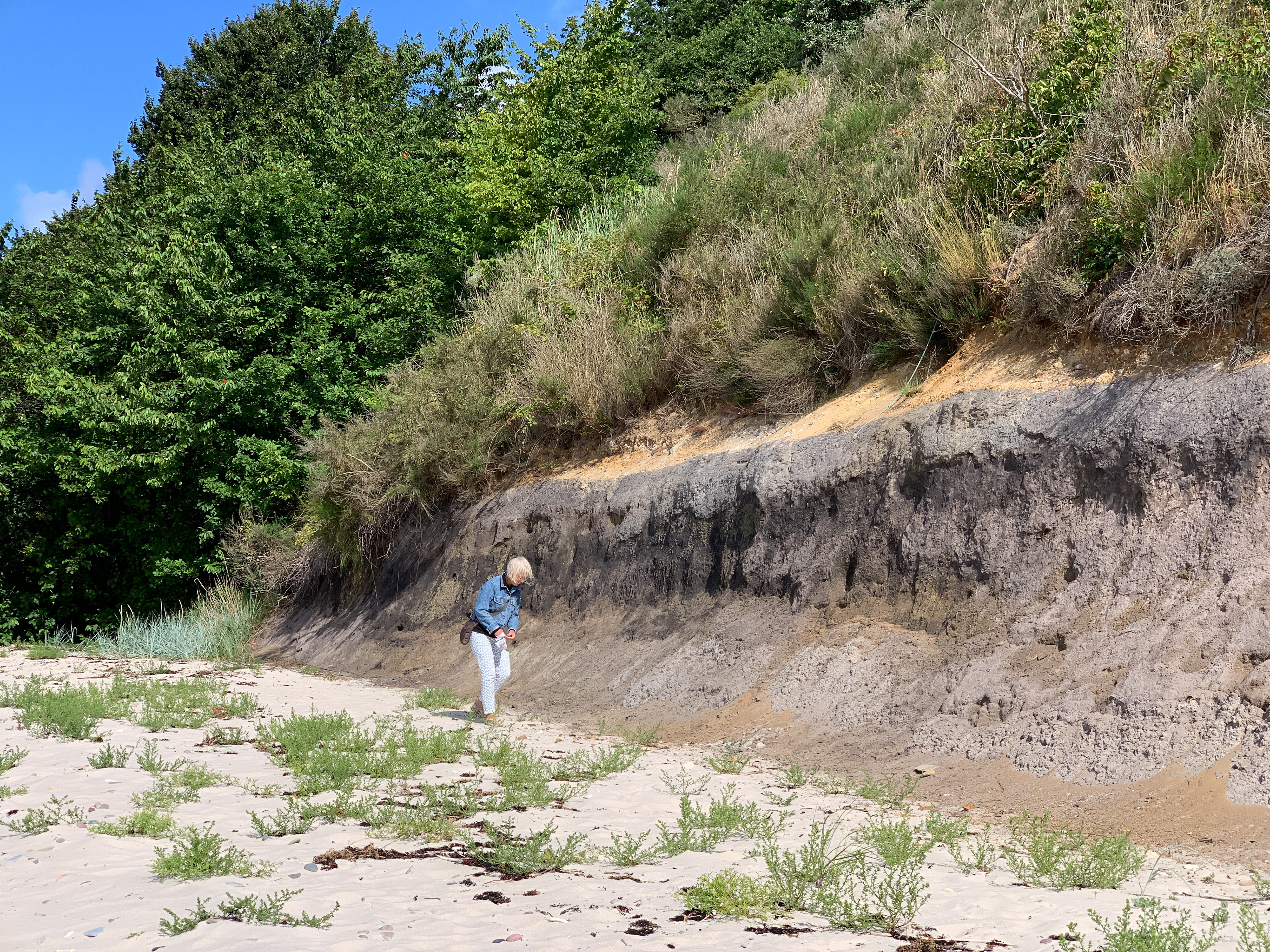 Susanne leder efter dinosaurusspor i indtørret mudder fra jura og tidlig kridt. Bornholm