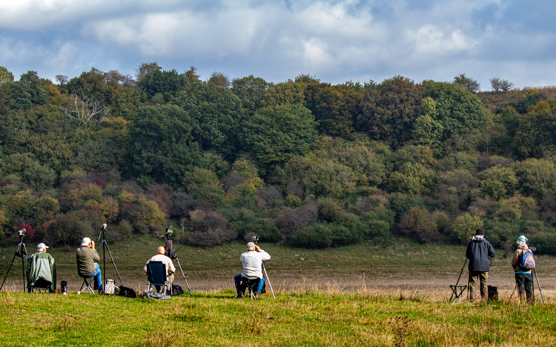 Fra Falsterbo-turen med Aages Venner. Her observeres der i Fyledalen - blandt andet kongeørn