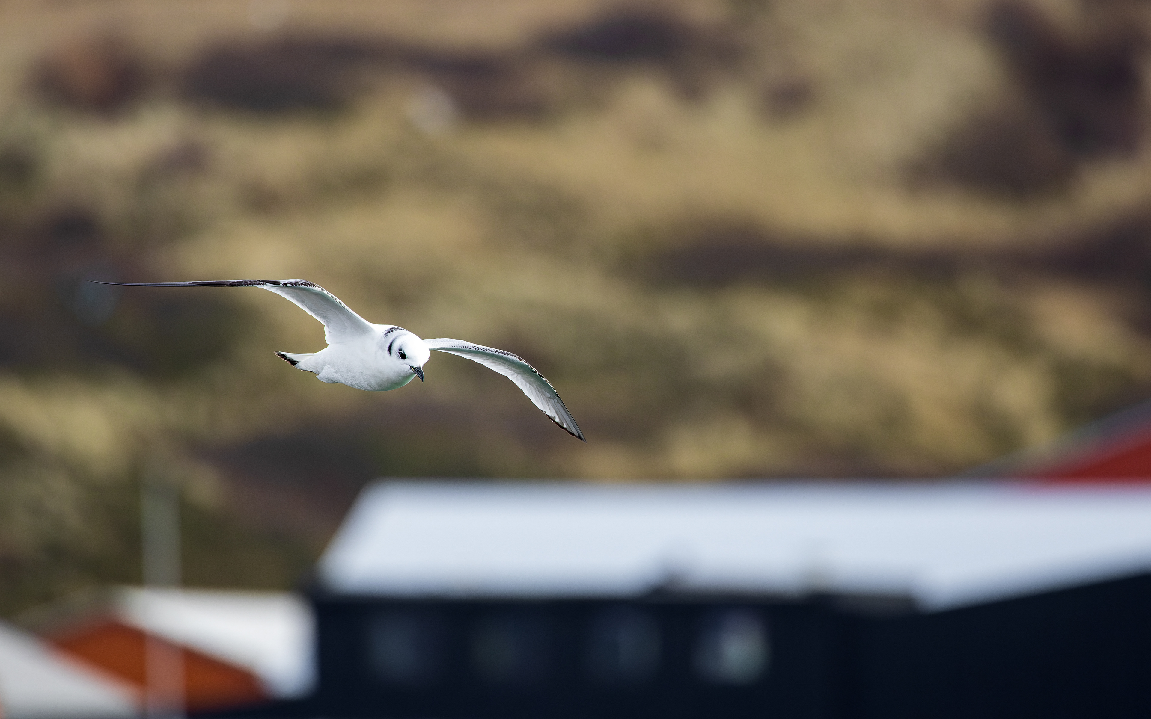 Ride i Hanstholm Havn