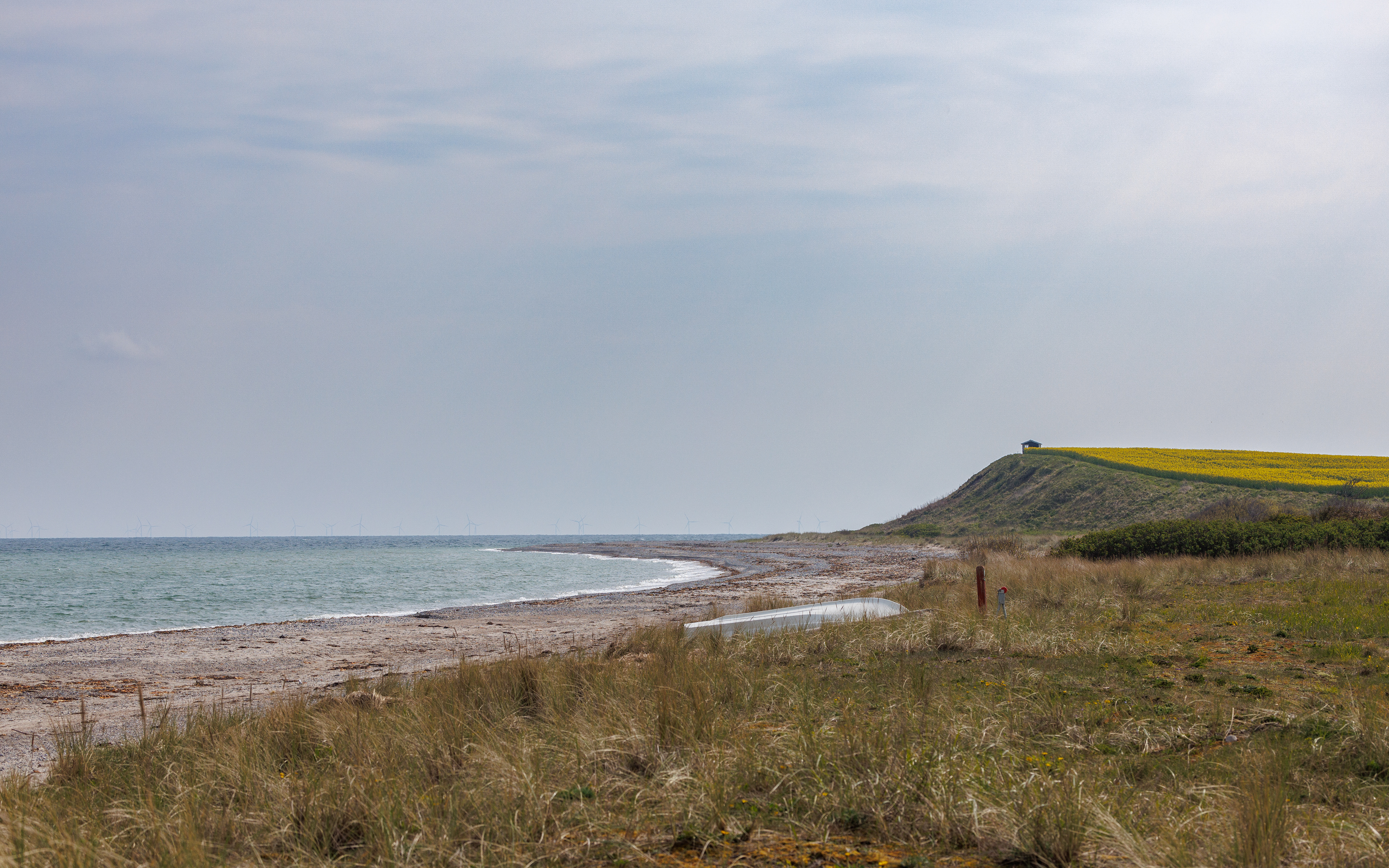 Gjerrild Nordstrand. 24. april