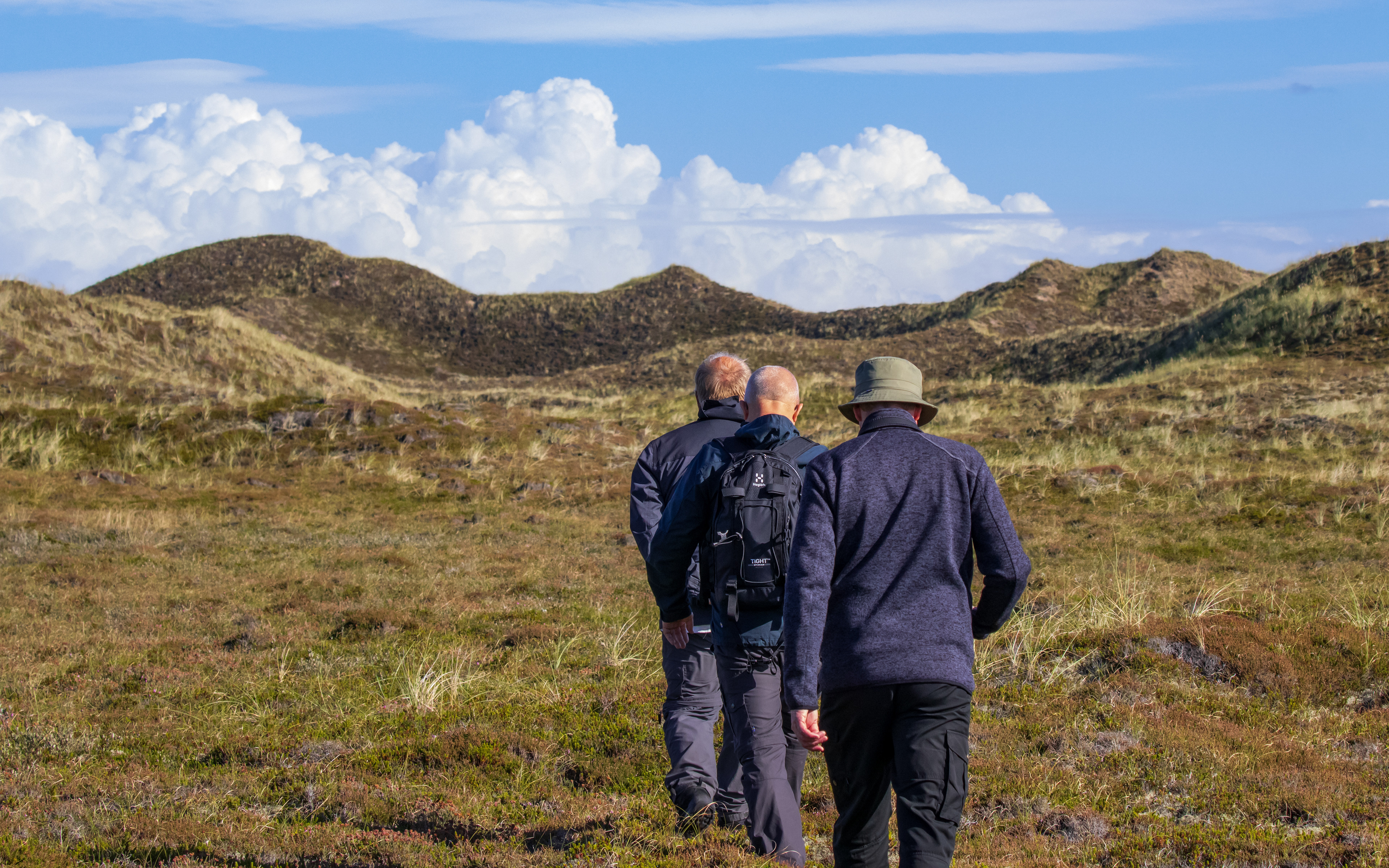 3 Aager på vej ind i Hanstholm Vildtsreservat