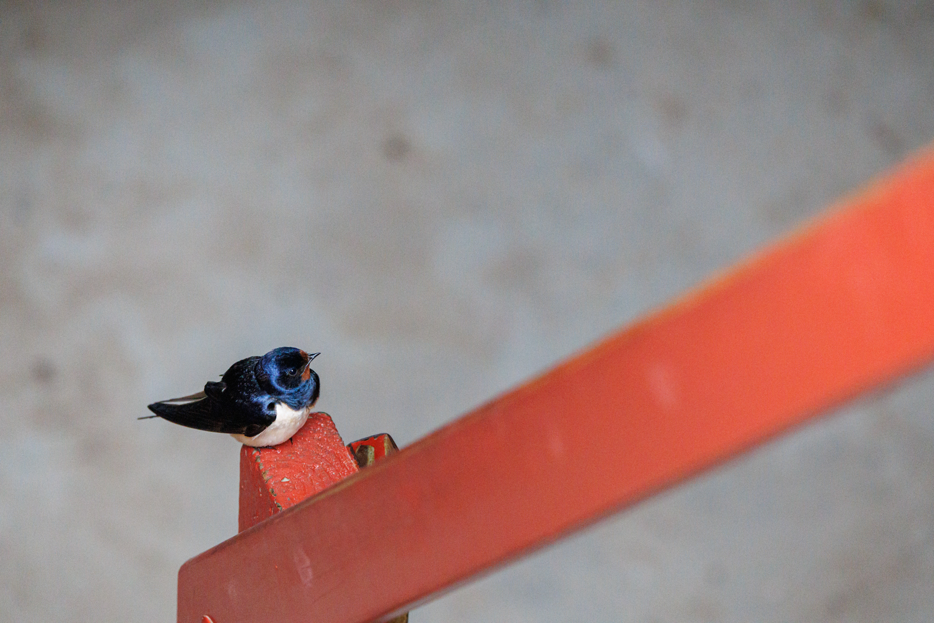 Landsvale. Tyskertårnet, Sletterhage