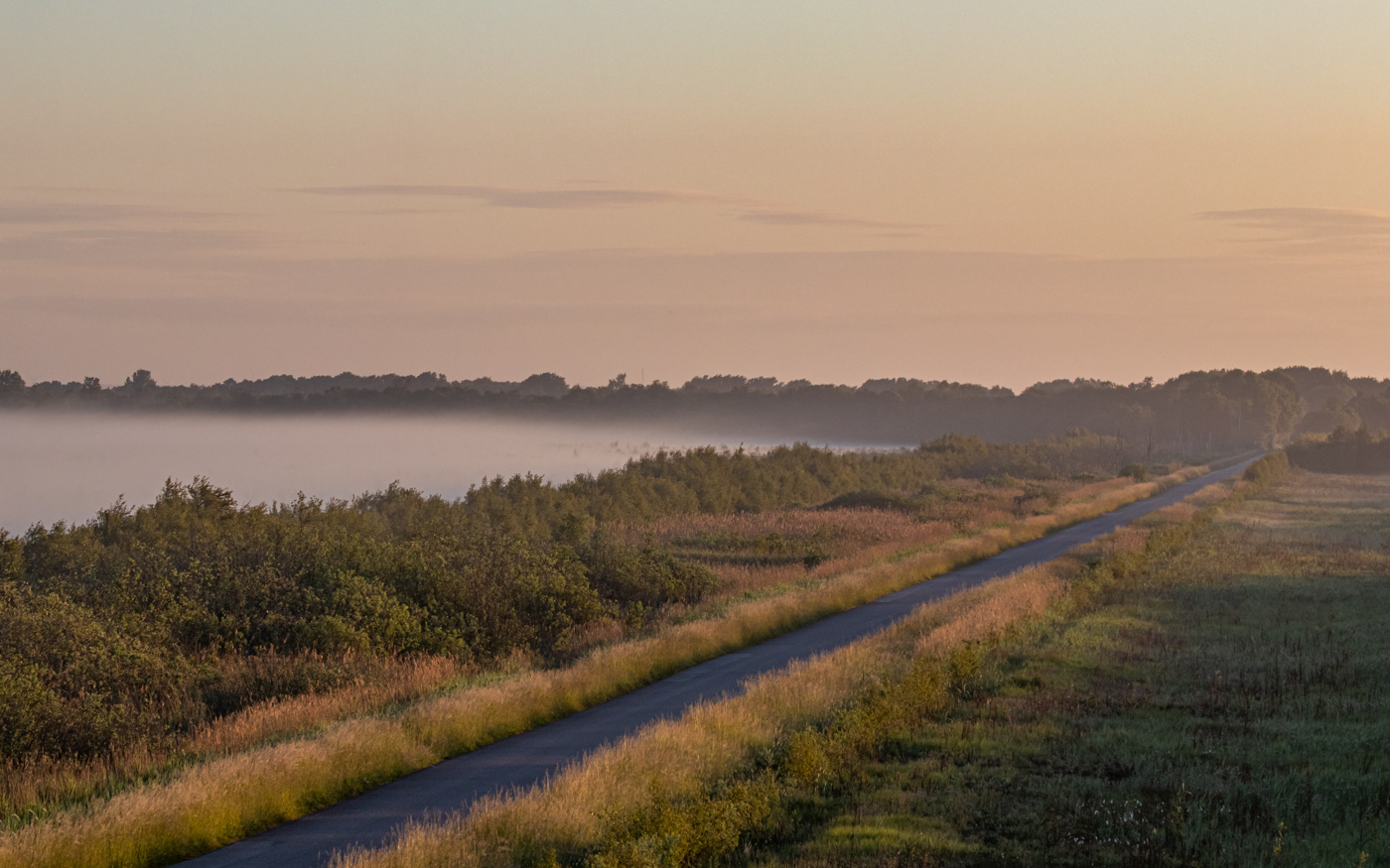 Udsigt fra Brandvagtstårnet mod den nordlige del af Portlandsmosen