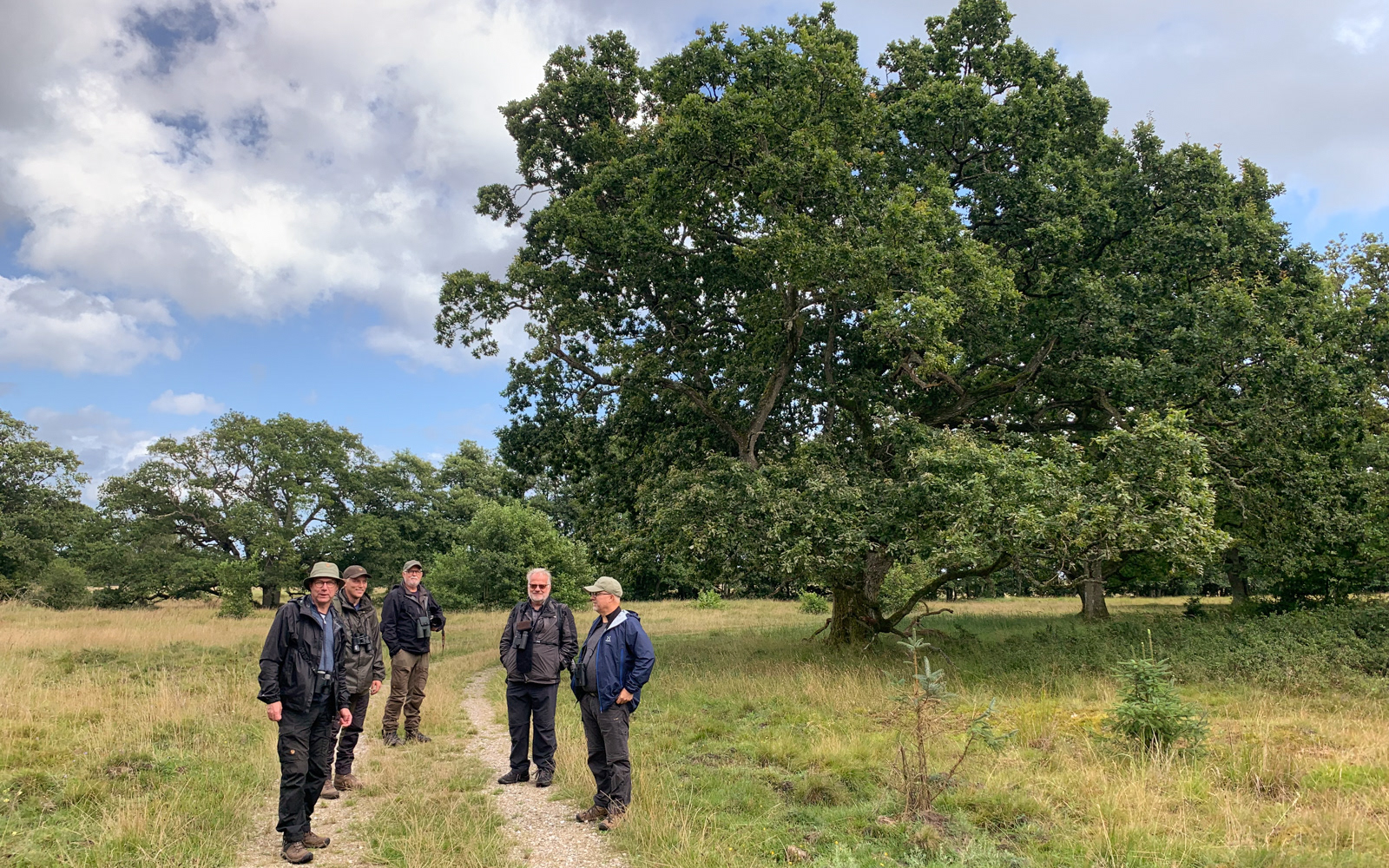 Med Aages Drenge i Tofte Skov og Mose