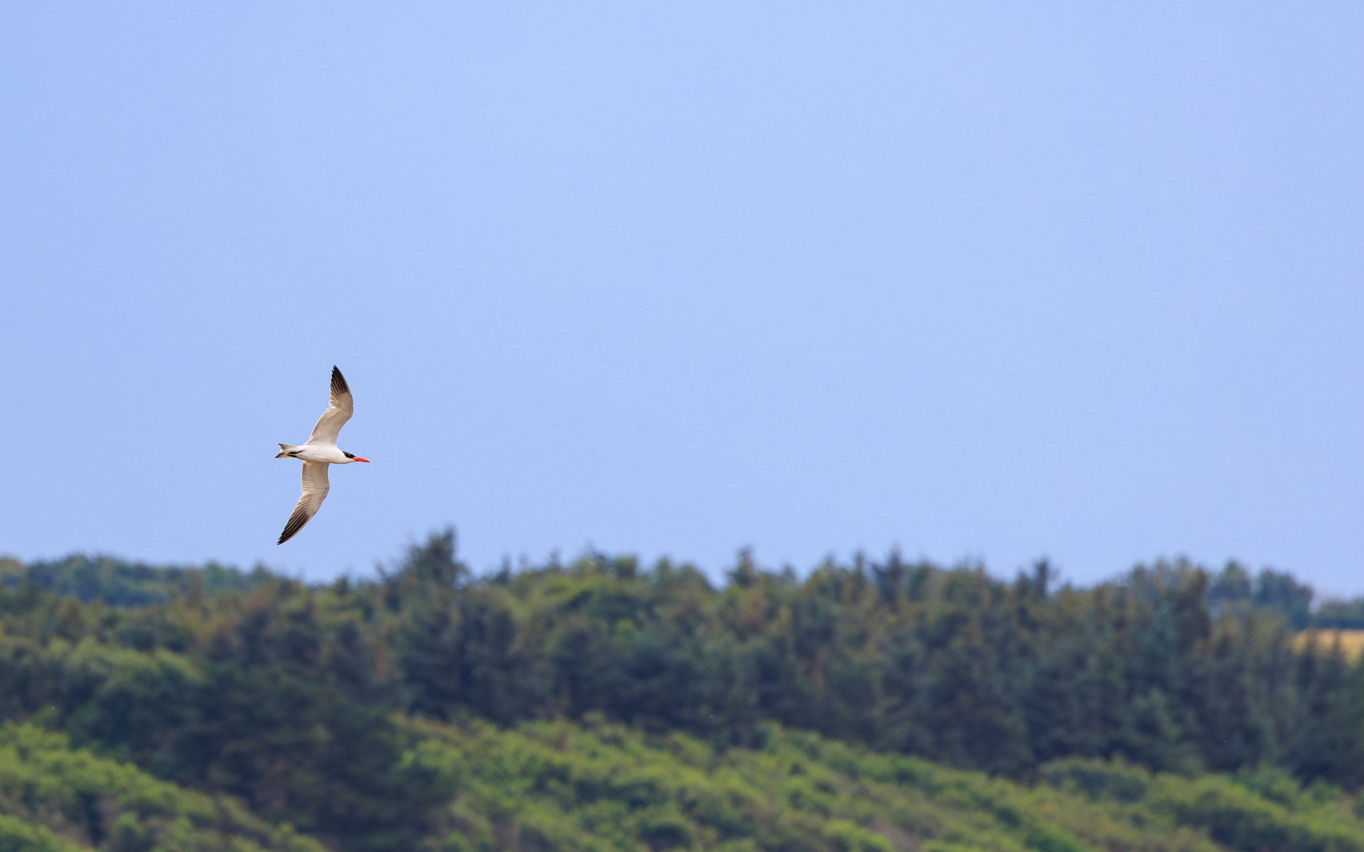 Rovterne. Fjorden ud for Sønder Lem Vig